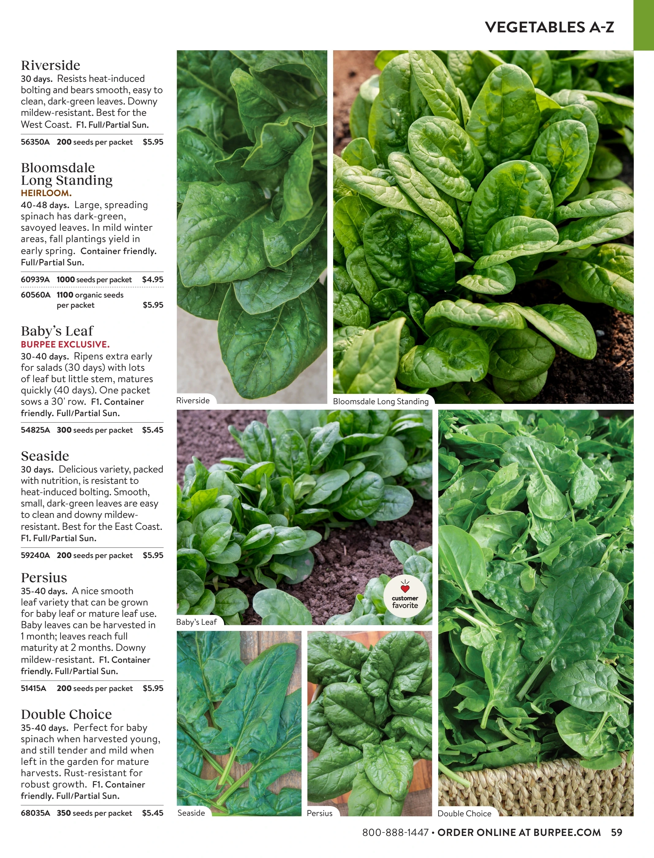 Burpee flyer page 59
