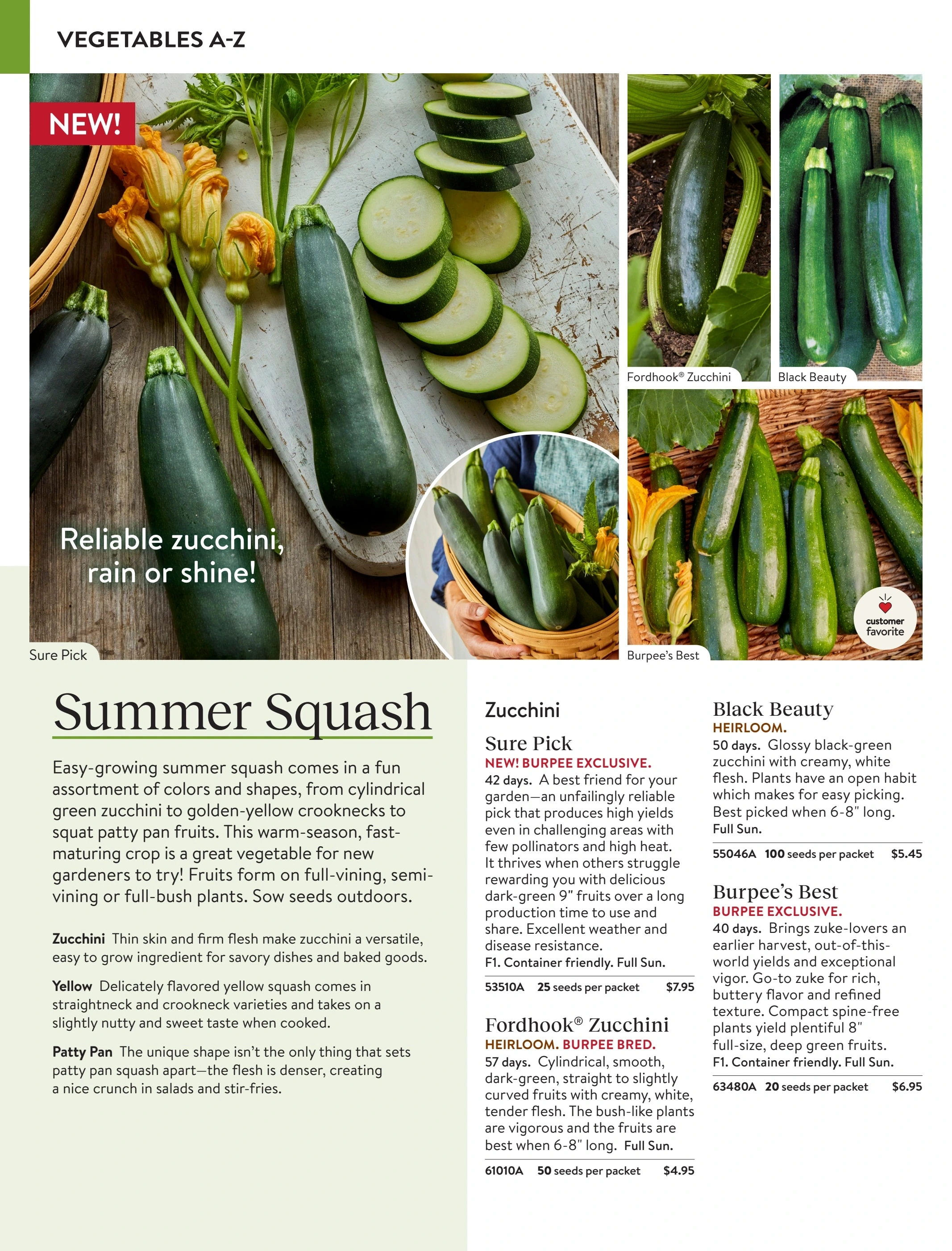 Burpee flyer page 60