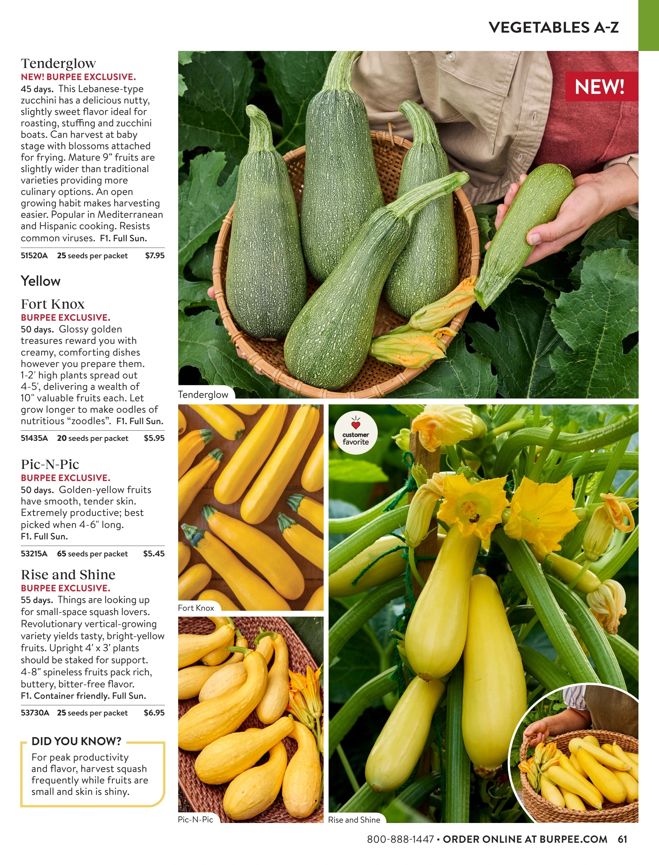 Burpee flyer page 61