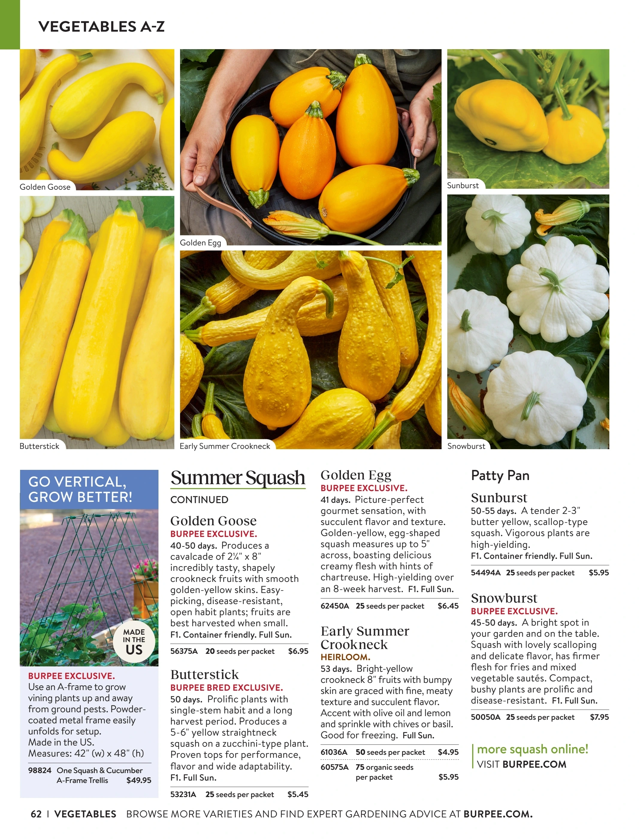 Burpee flyer page 62