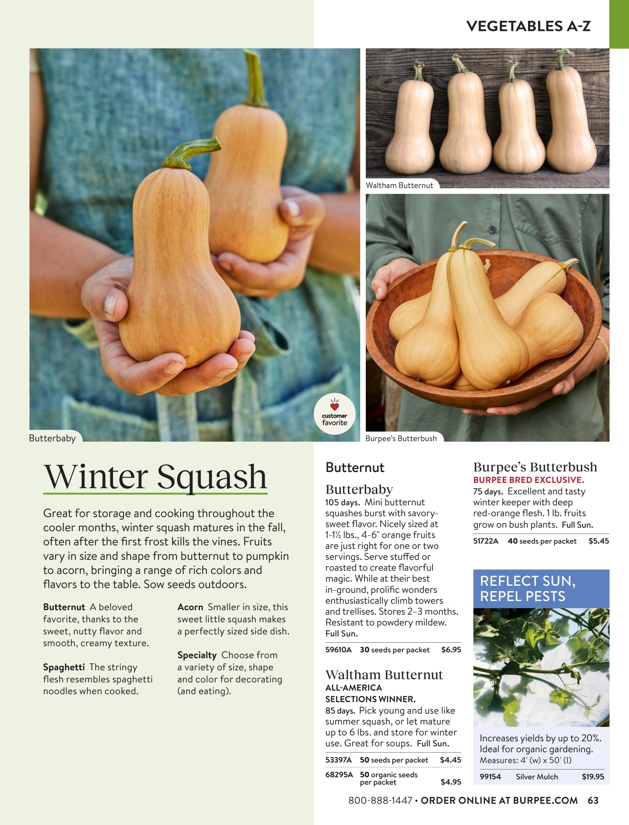 Burpee flyer page 63