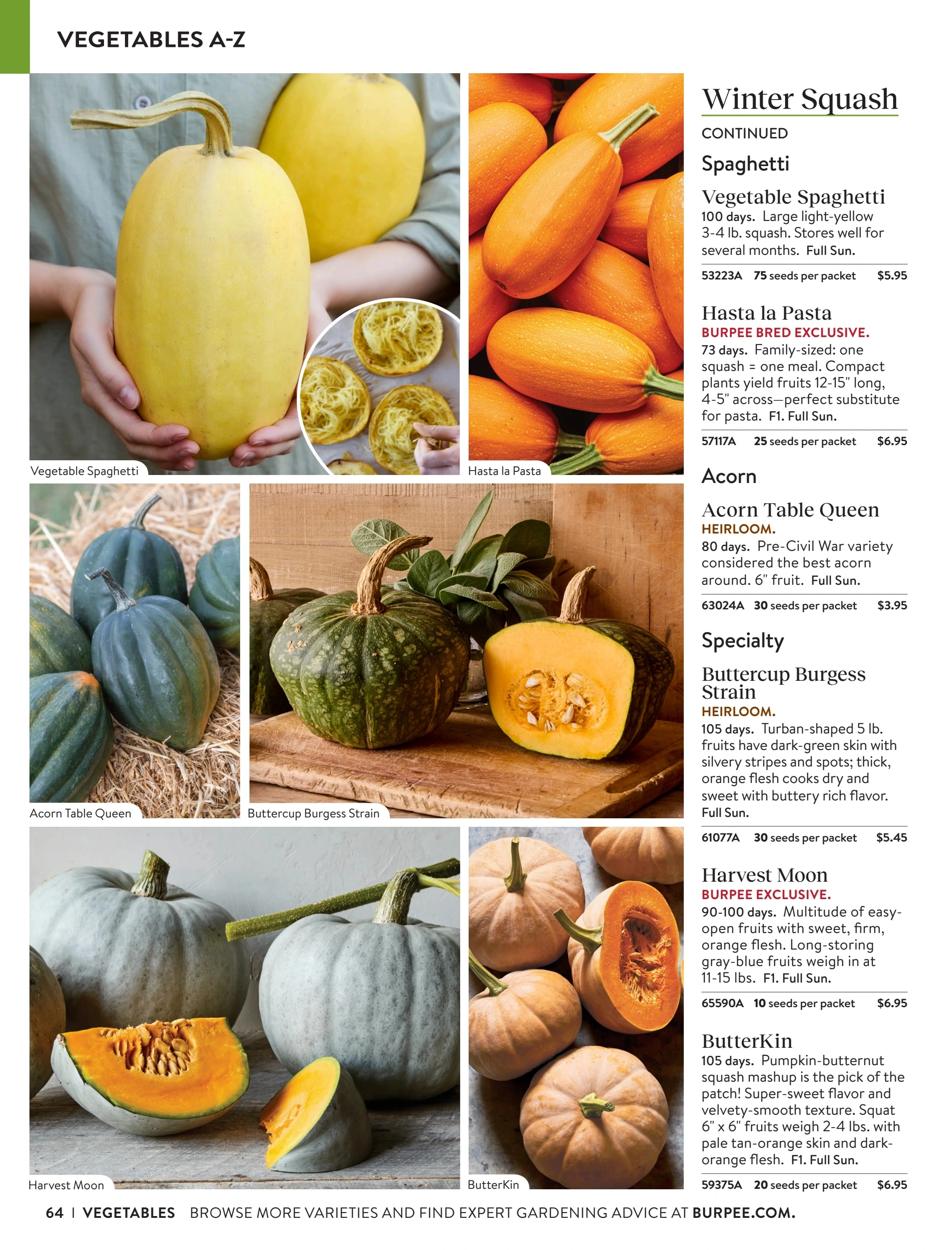 Burpee flyer page 64