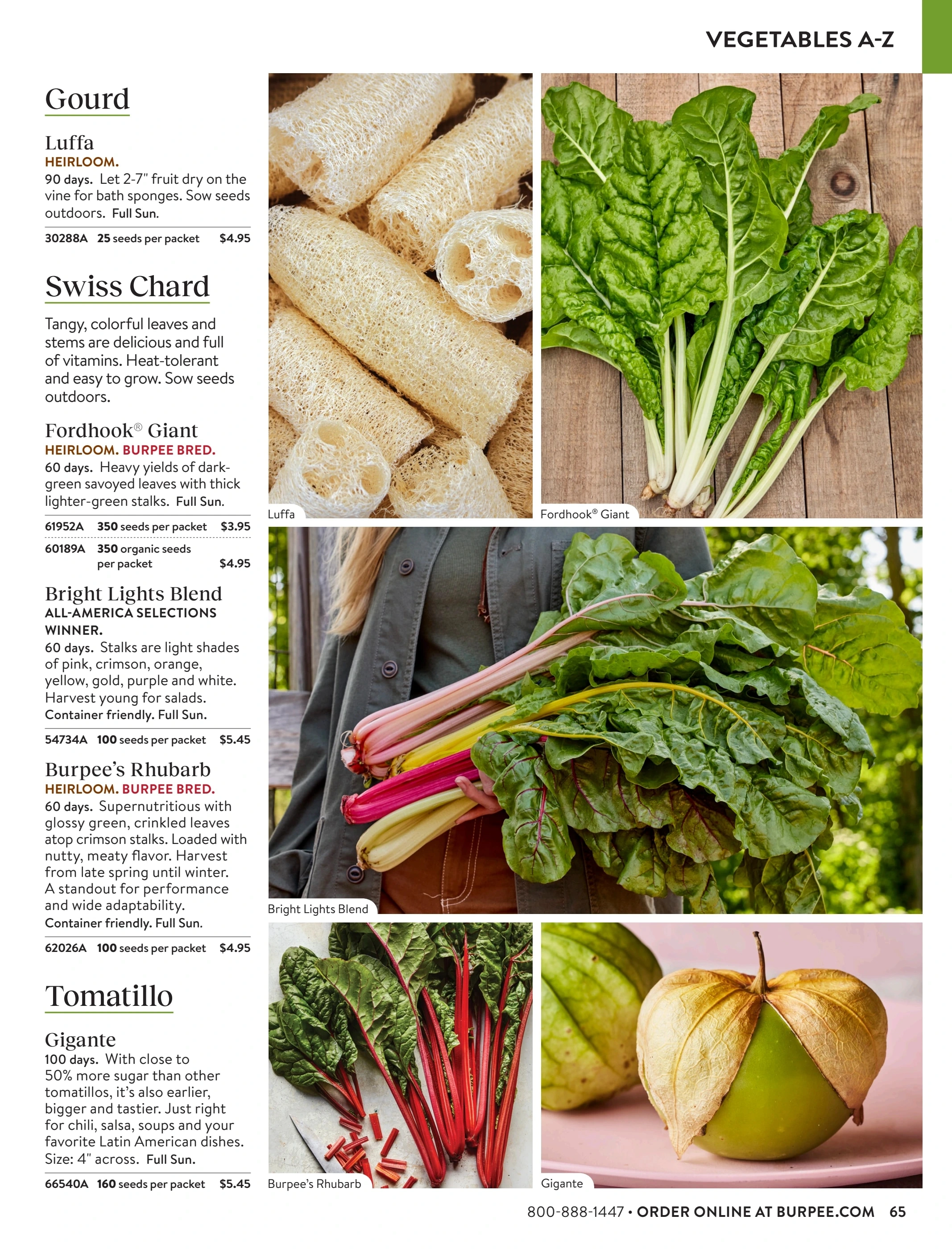 Burpee flyer page 65