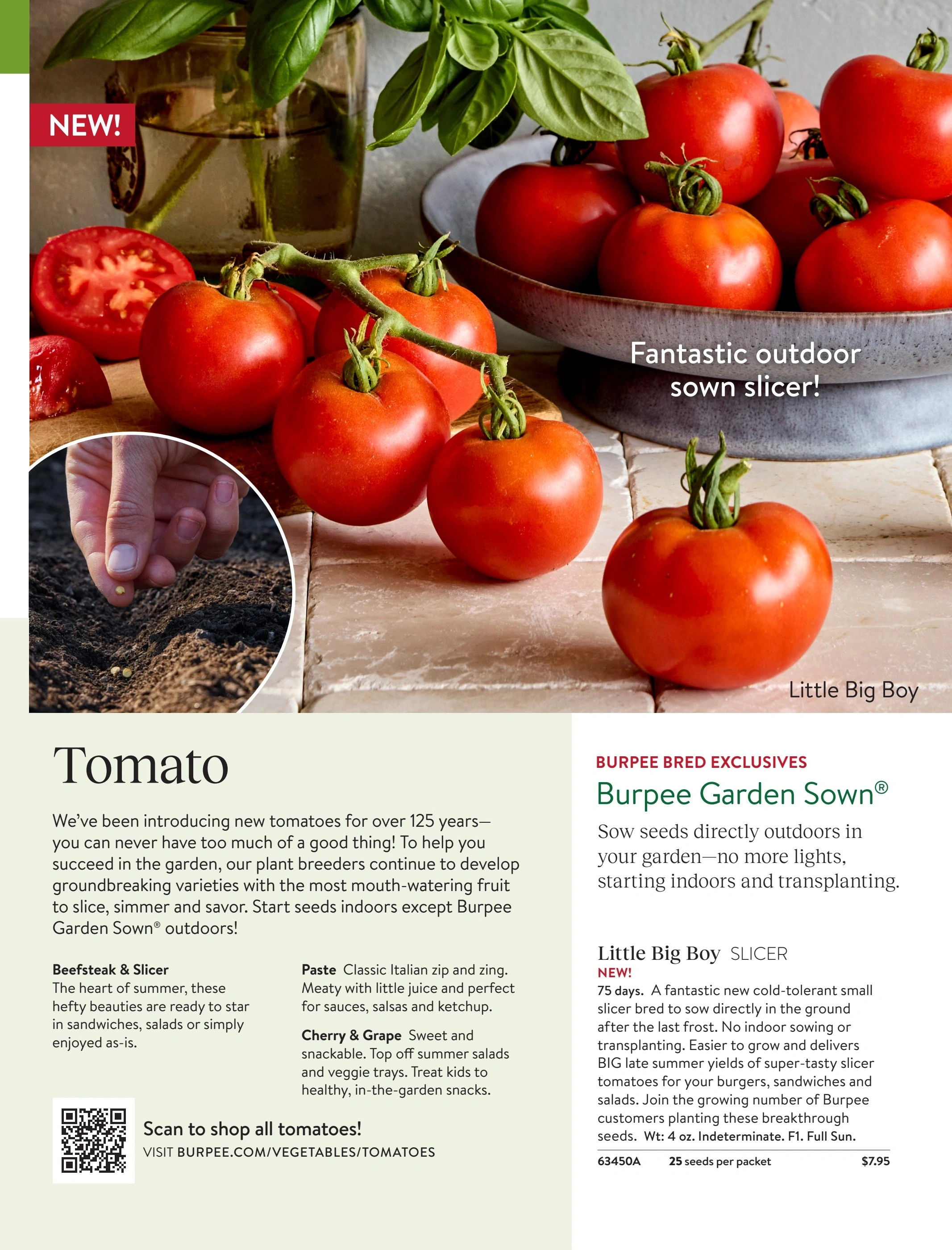 Burpee flyer page 66