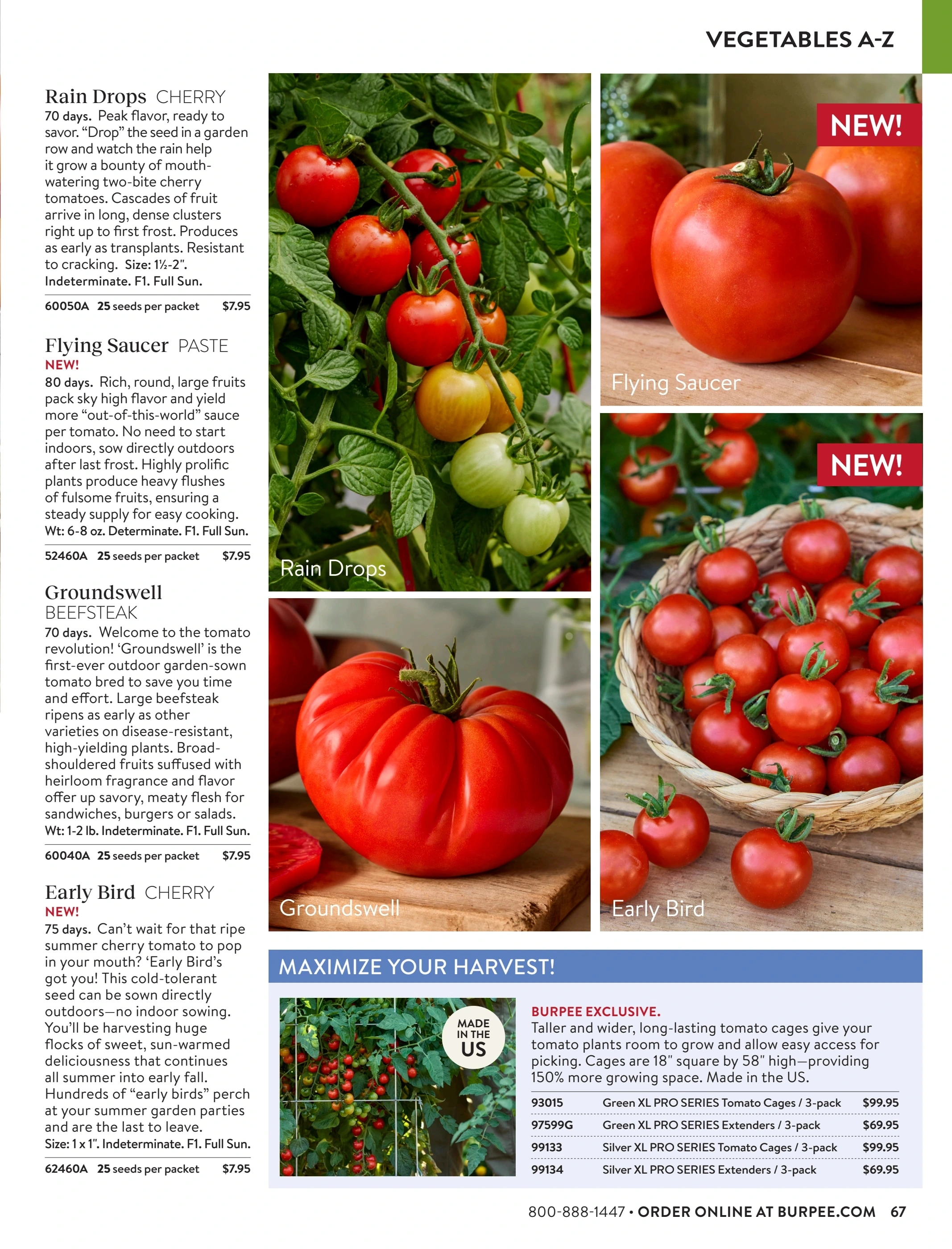 Burpee flyer page 67