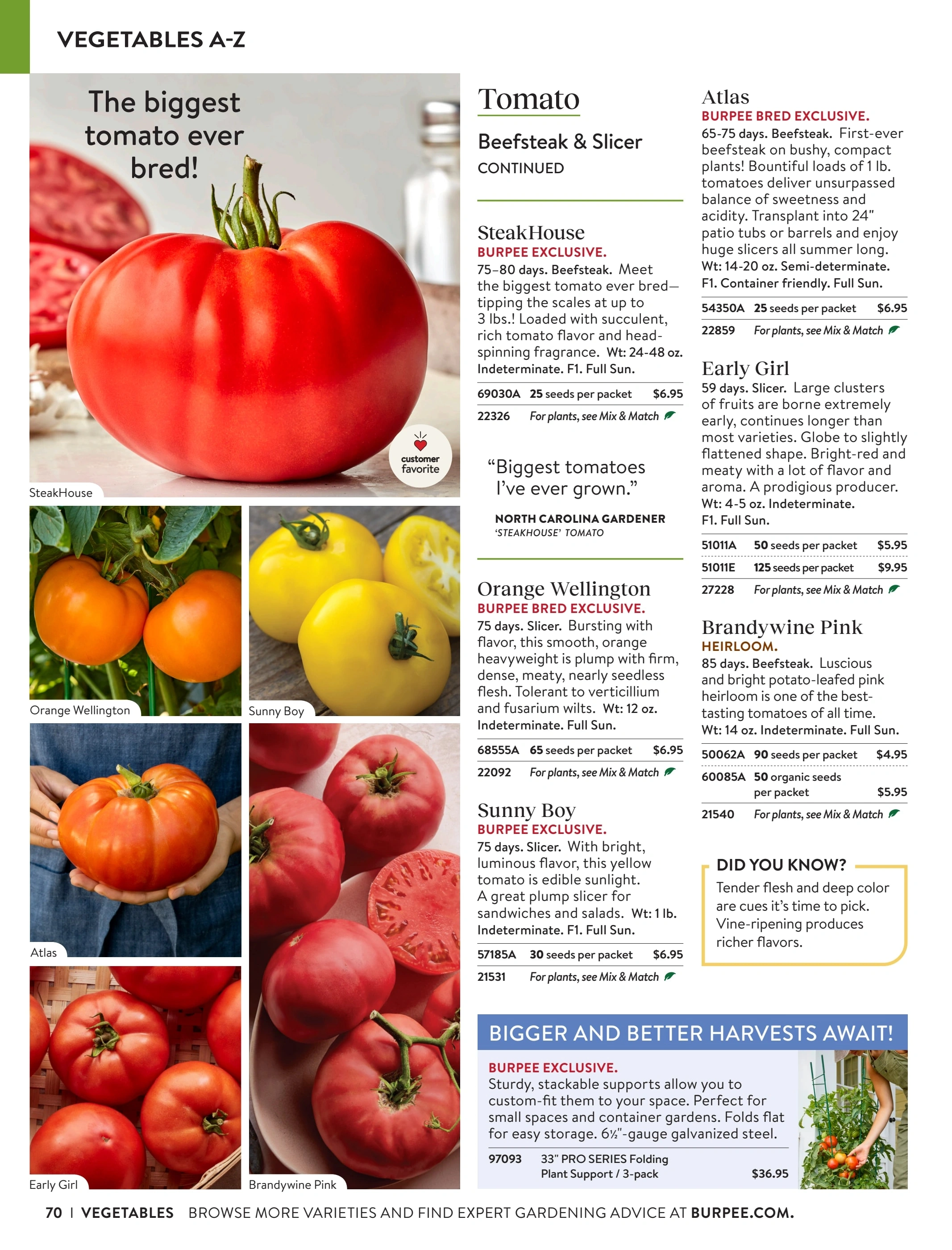 Burpee flyer page 70