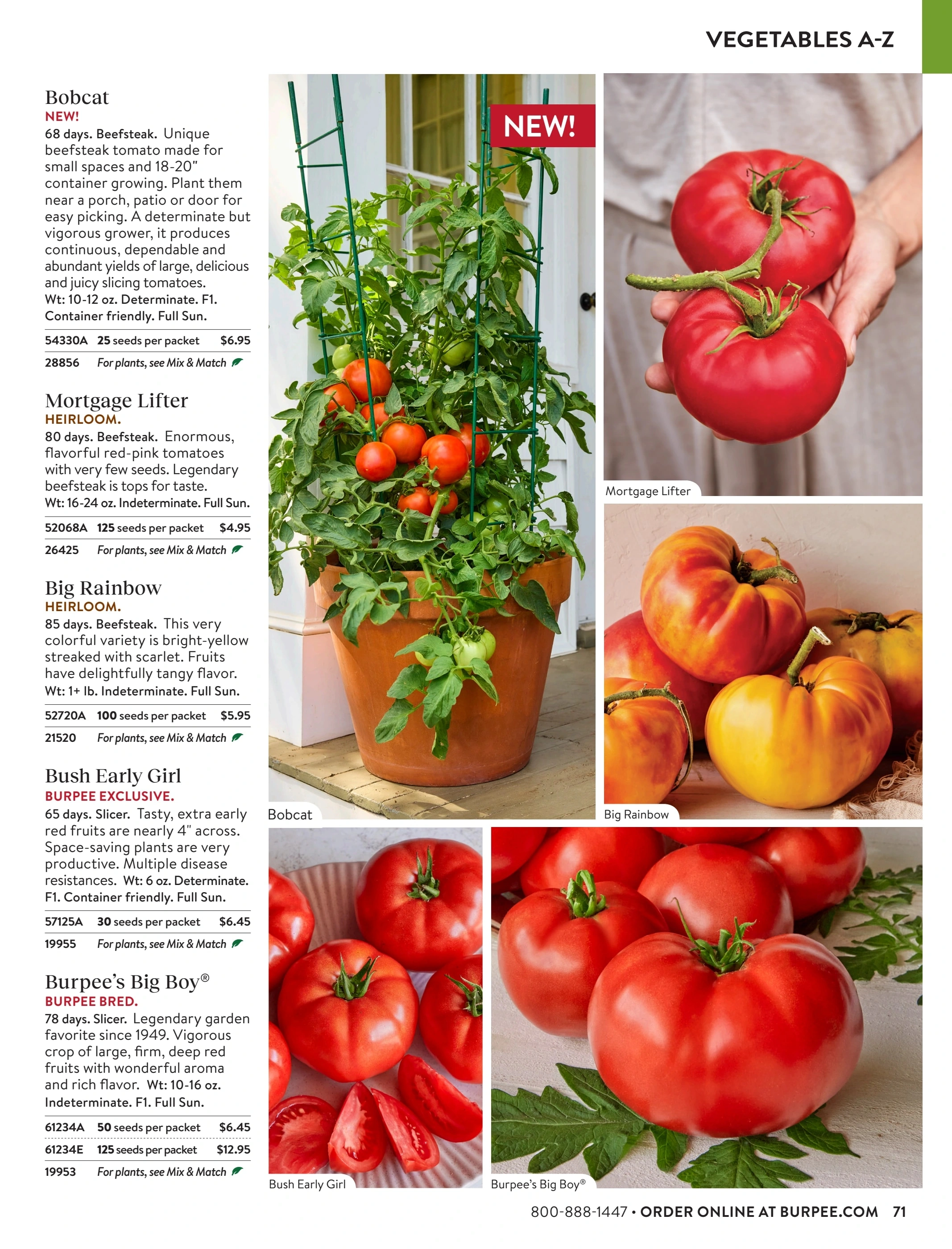Burpee flyer page 71