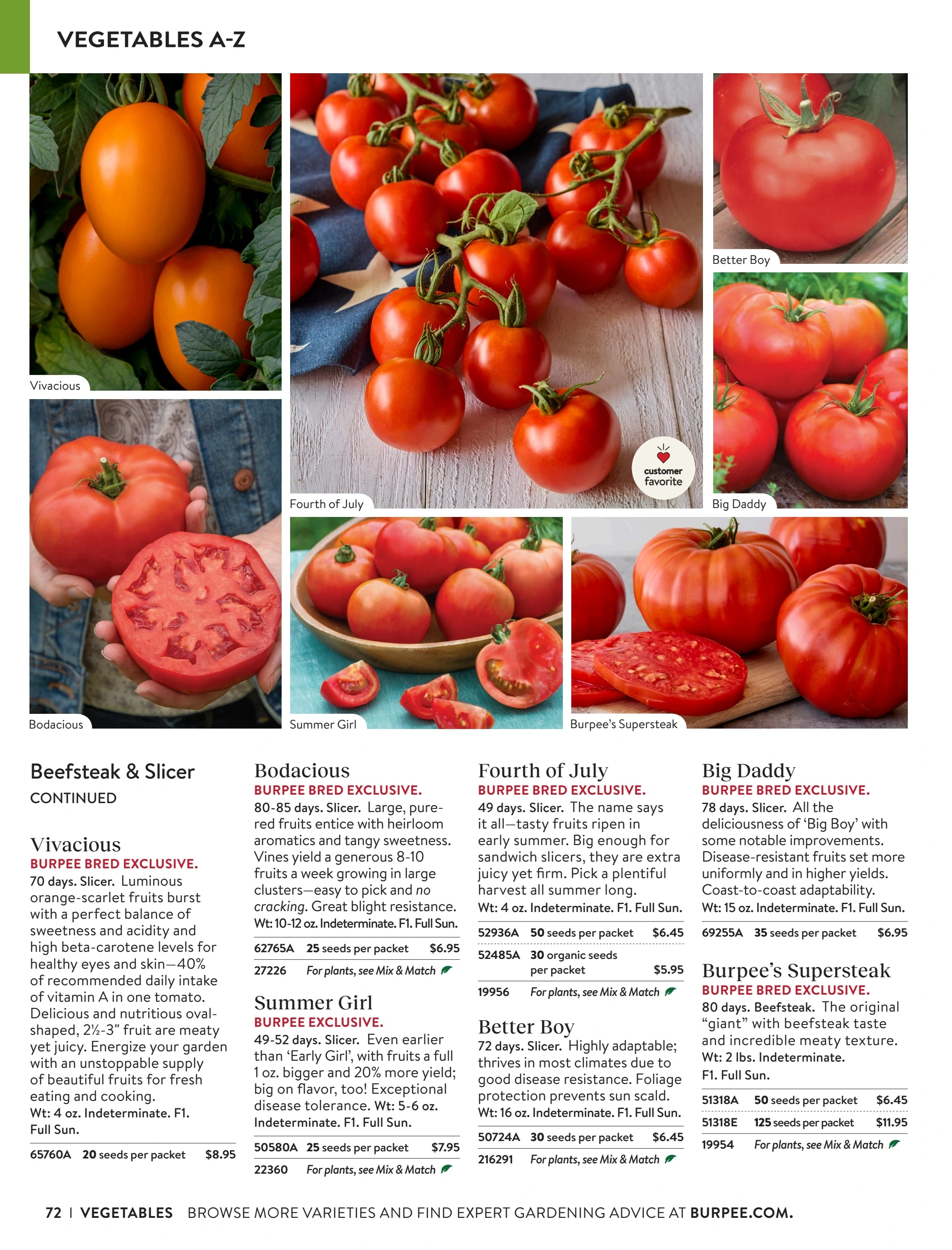 Burpee flyer page 72