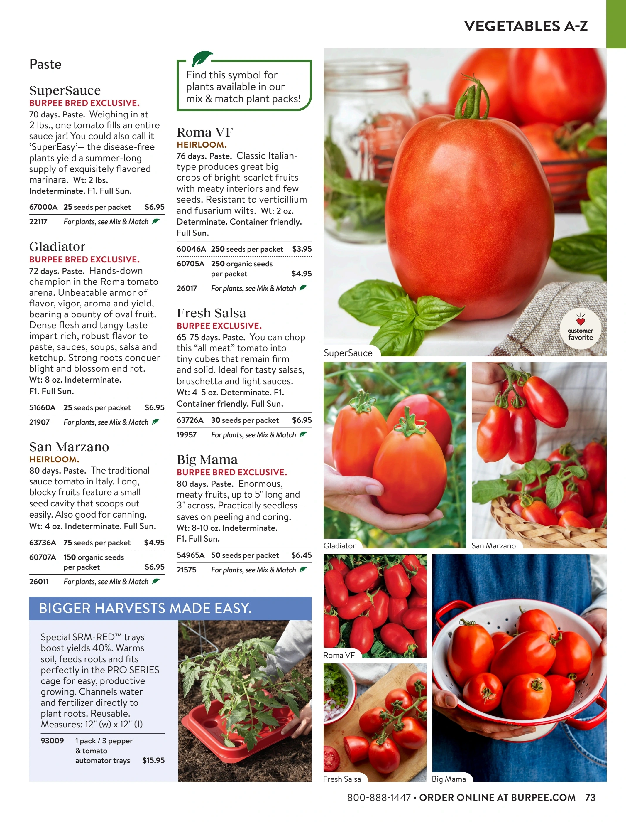 Burpee flyer page 73