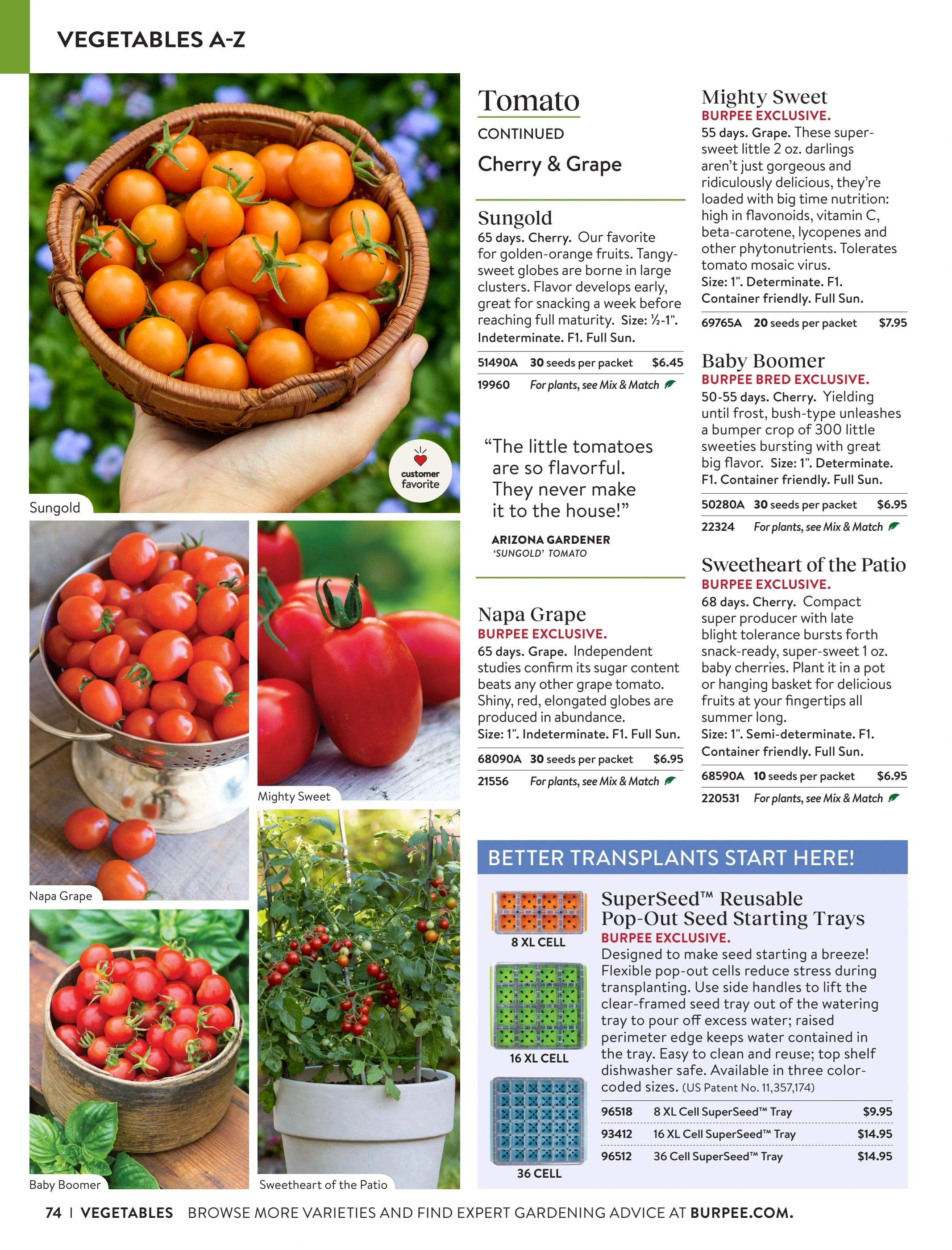 Burpee flyer page 74