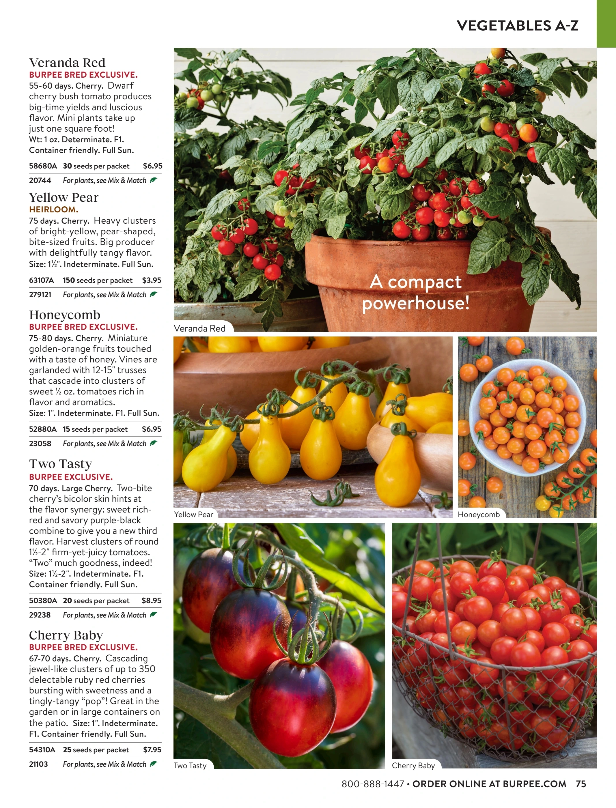 Burpee flyer page 75