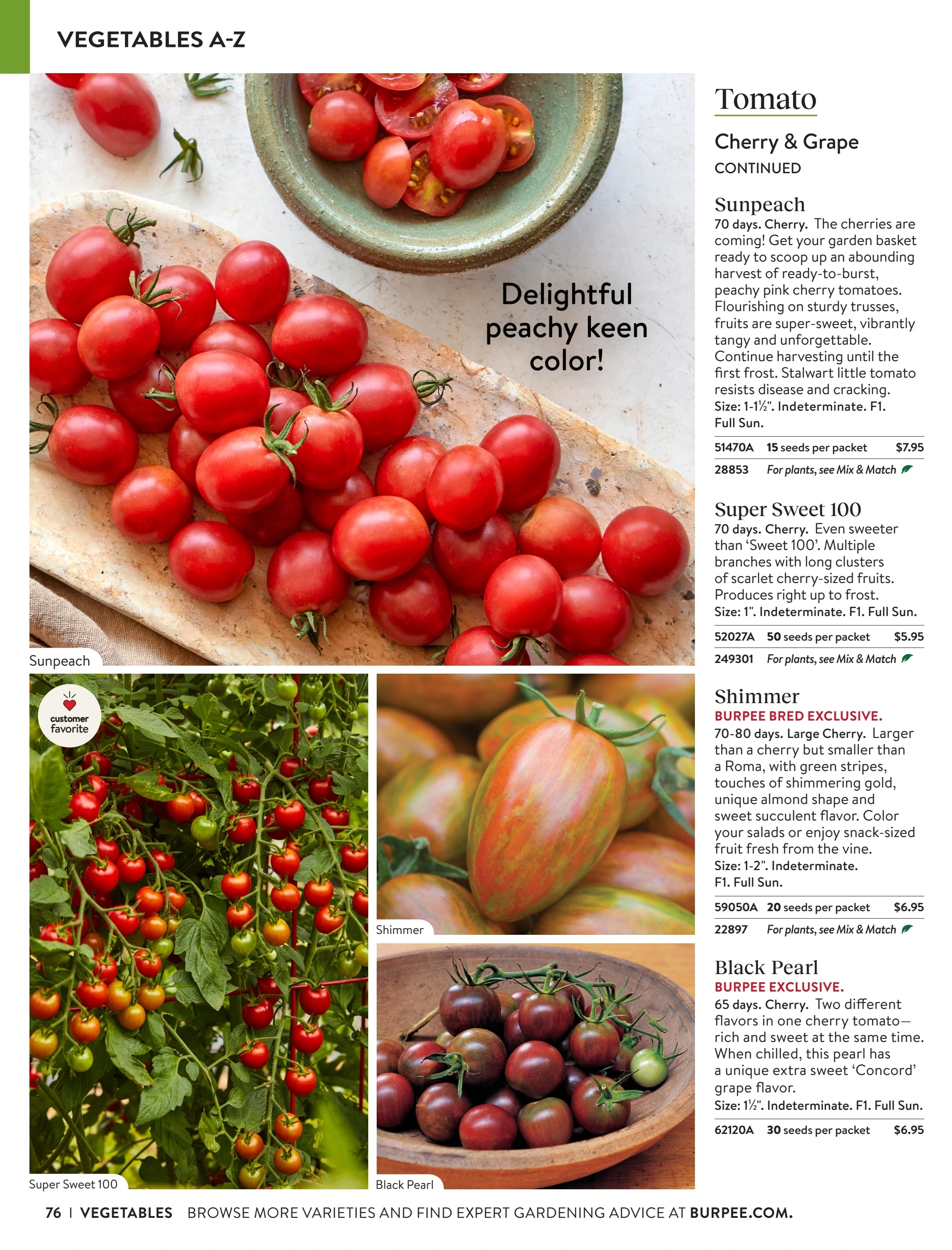 Burpee flyer page 76