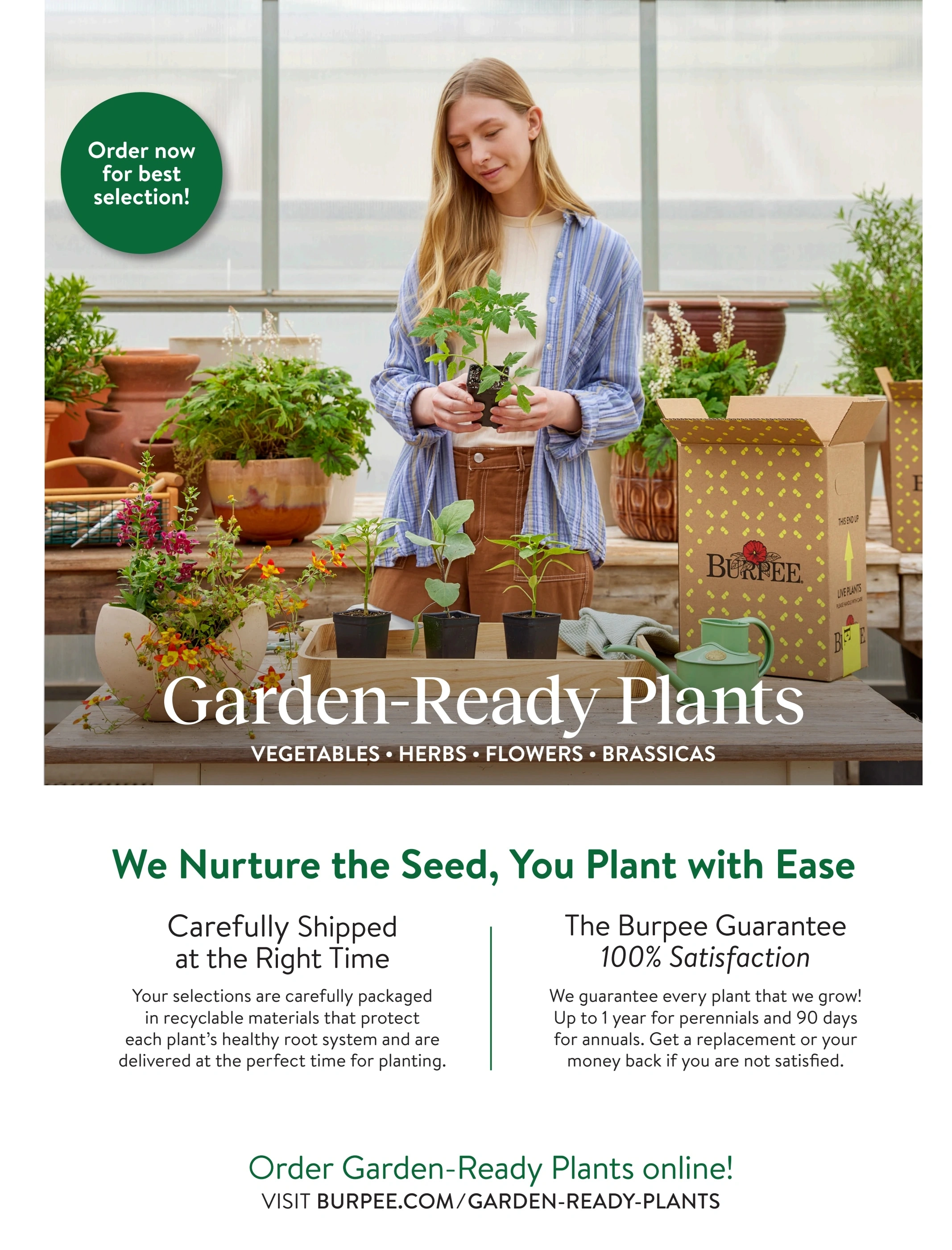Burpee flyer page 79