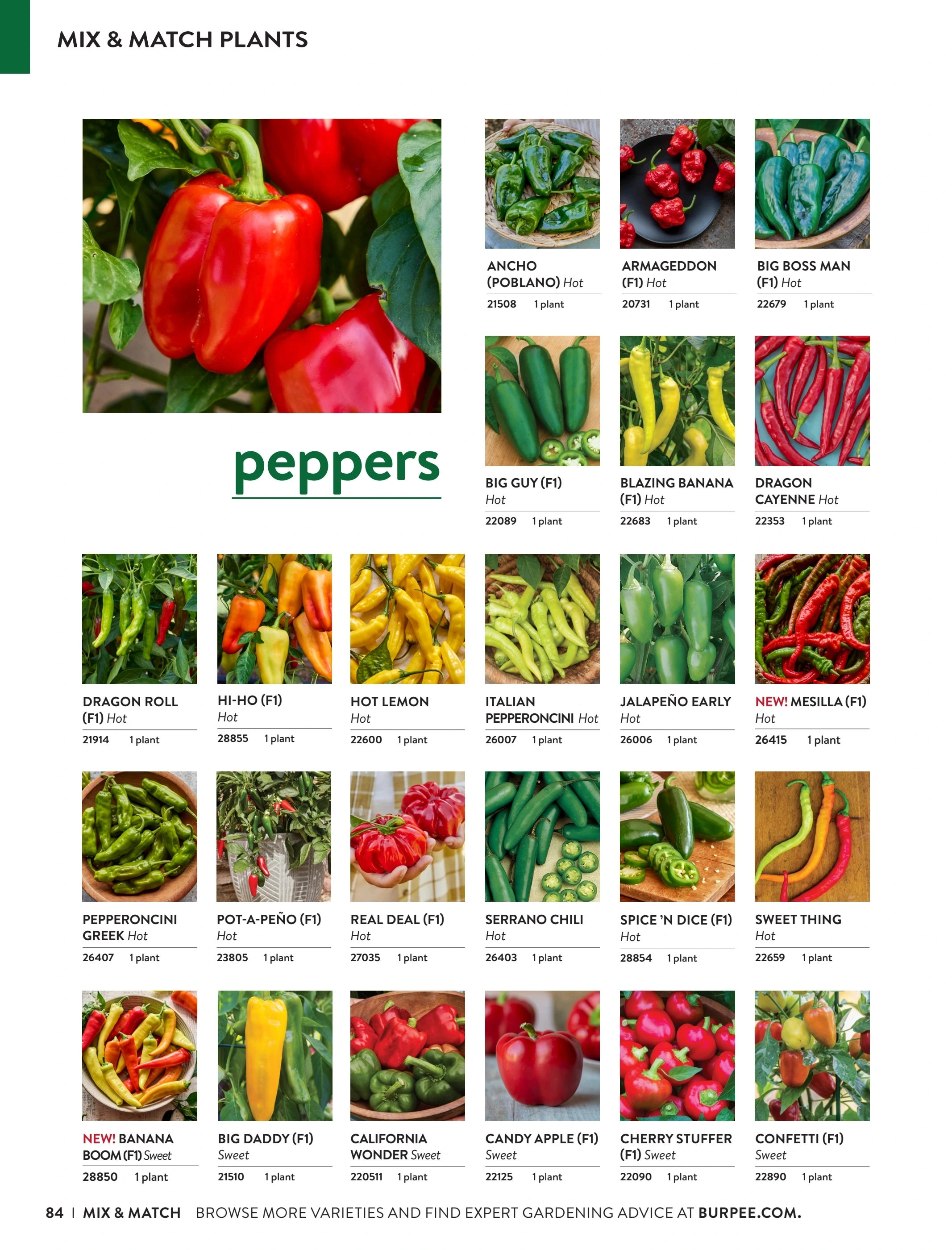 Burpee flyer page 84