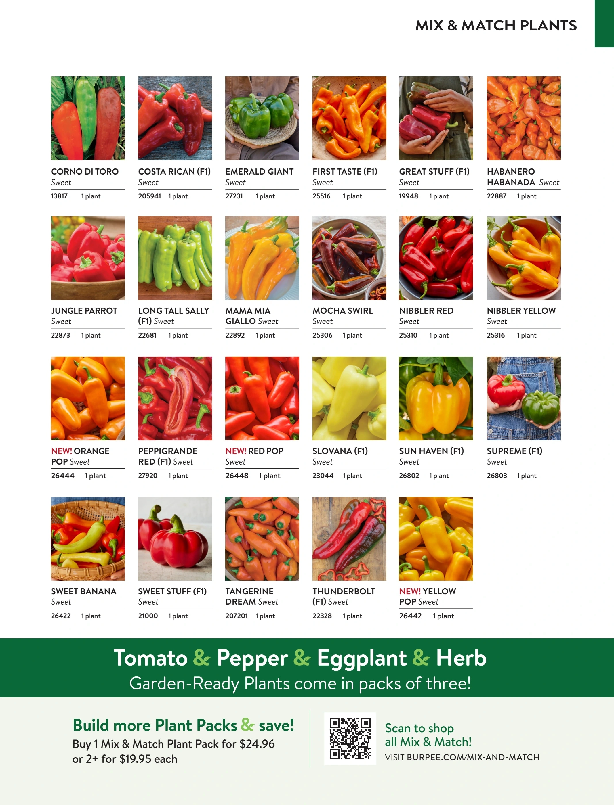 Burpee flyer page 85