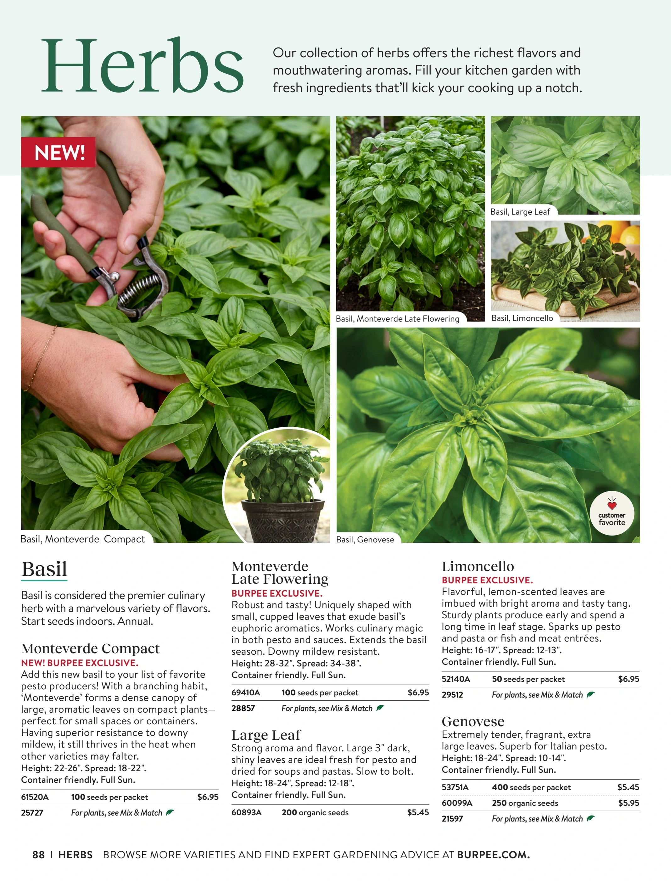 Burpee flyer page 88