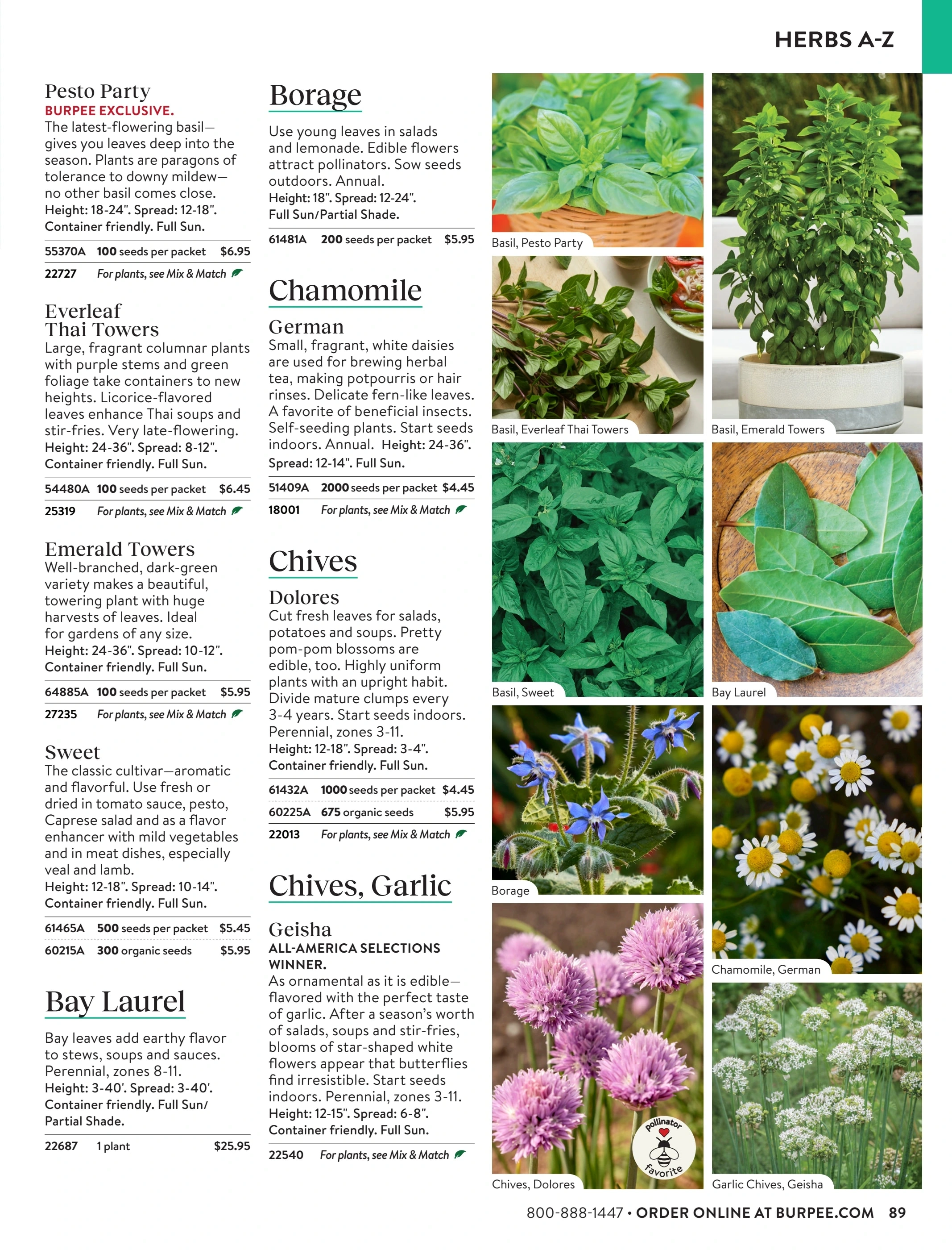 Burpee flyer page 89