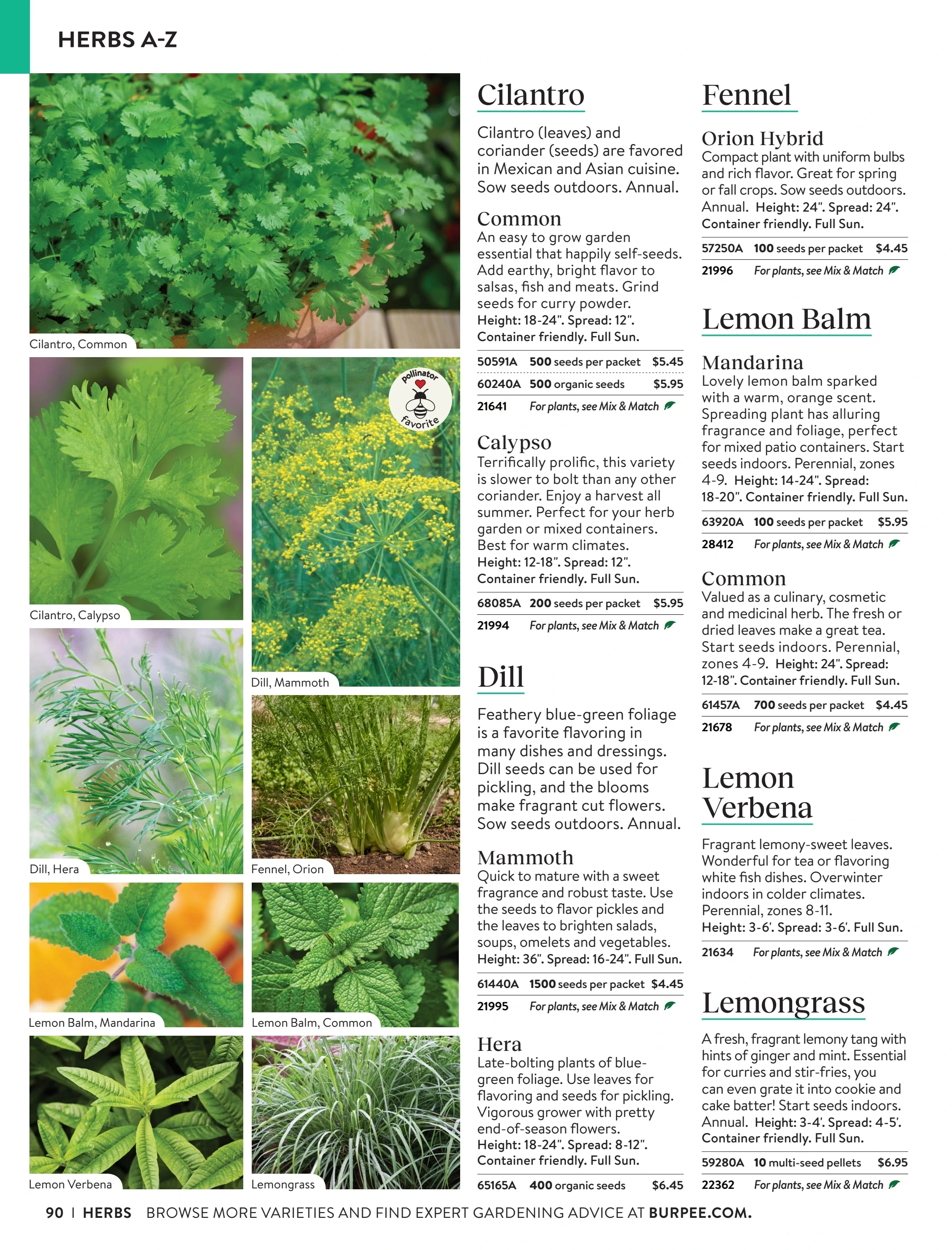 Burpee flyer page 90