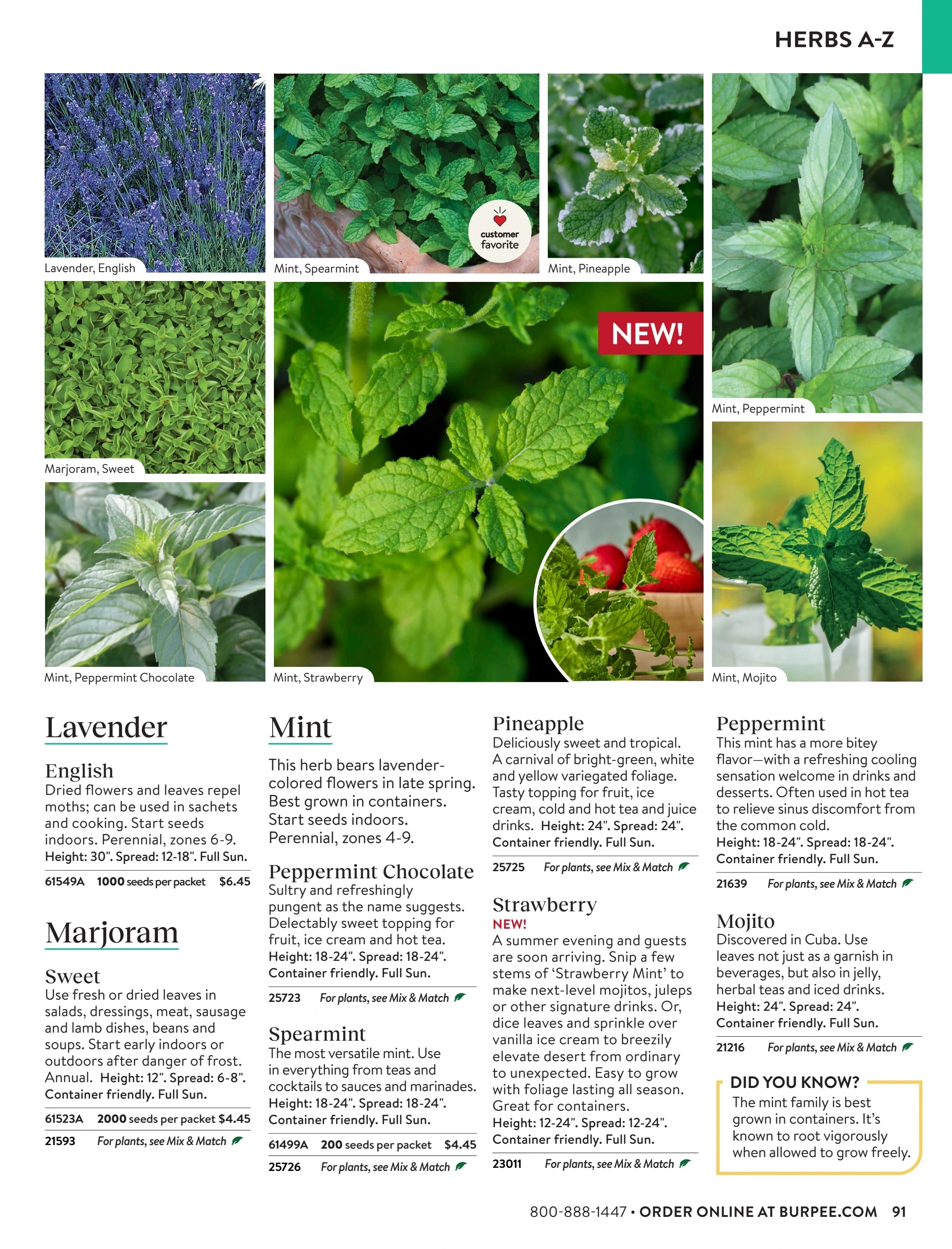 Burpee flyer page 91