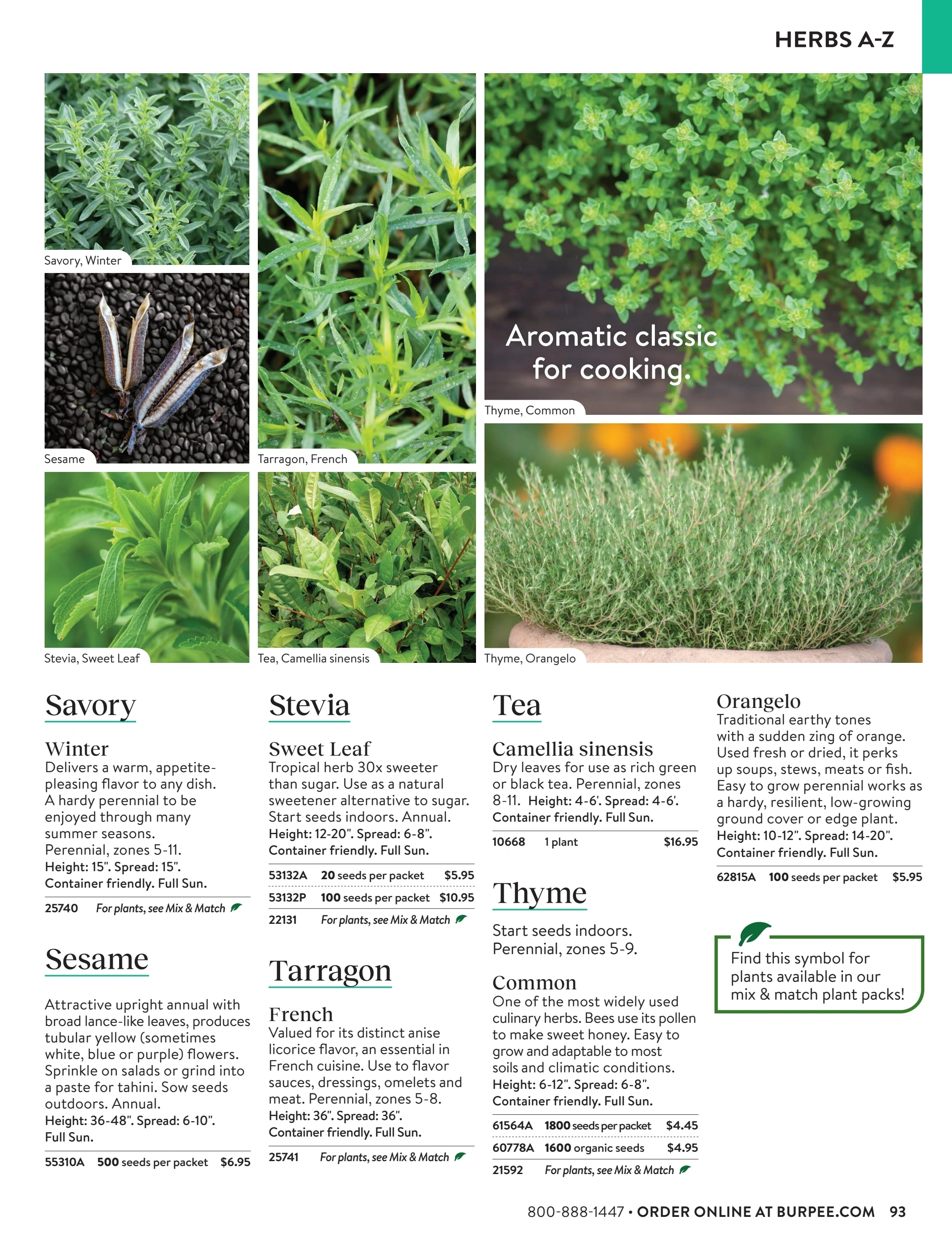 Burpee flyer page 93