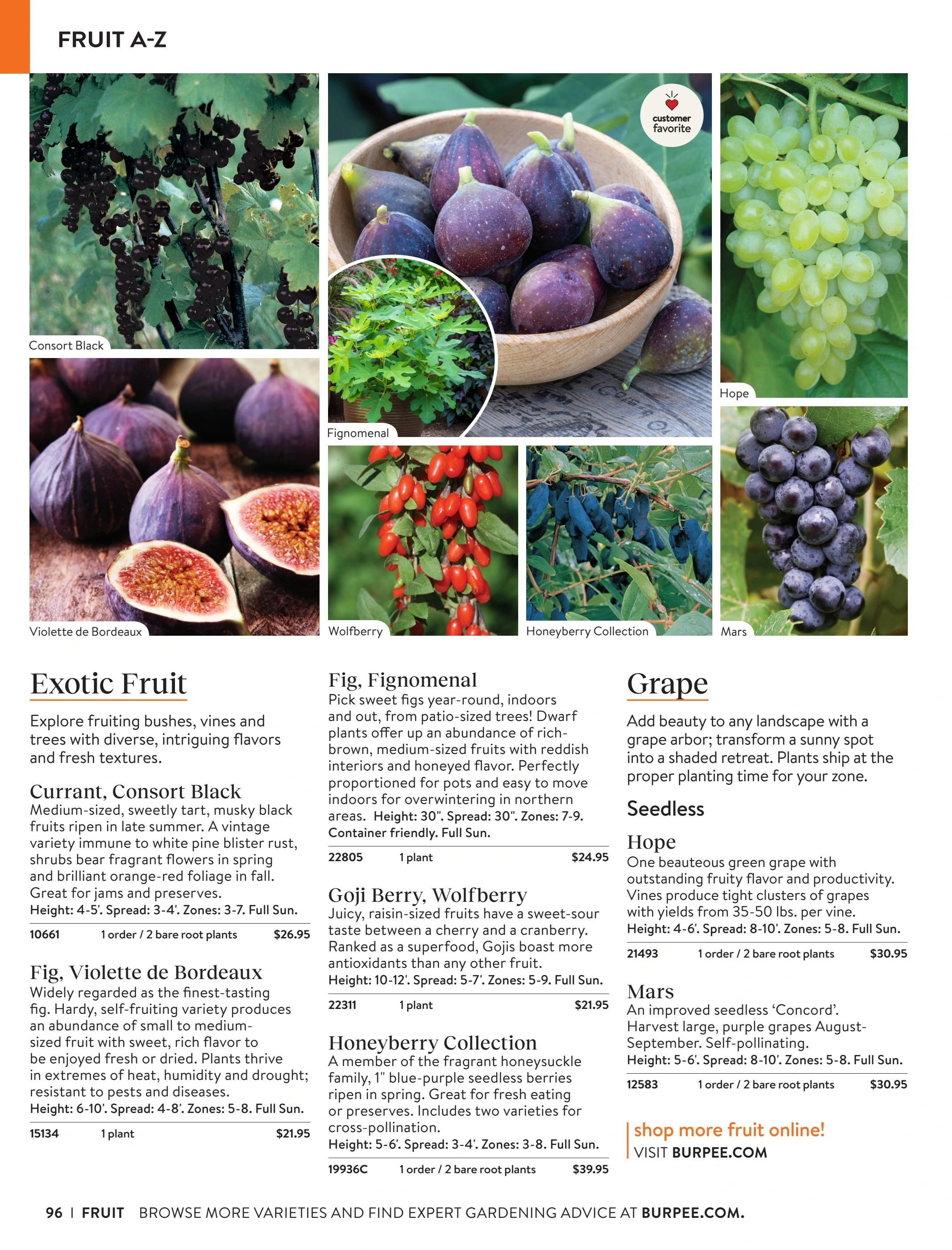 Burpee flyer page 96