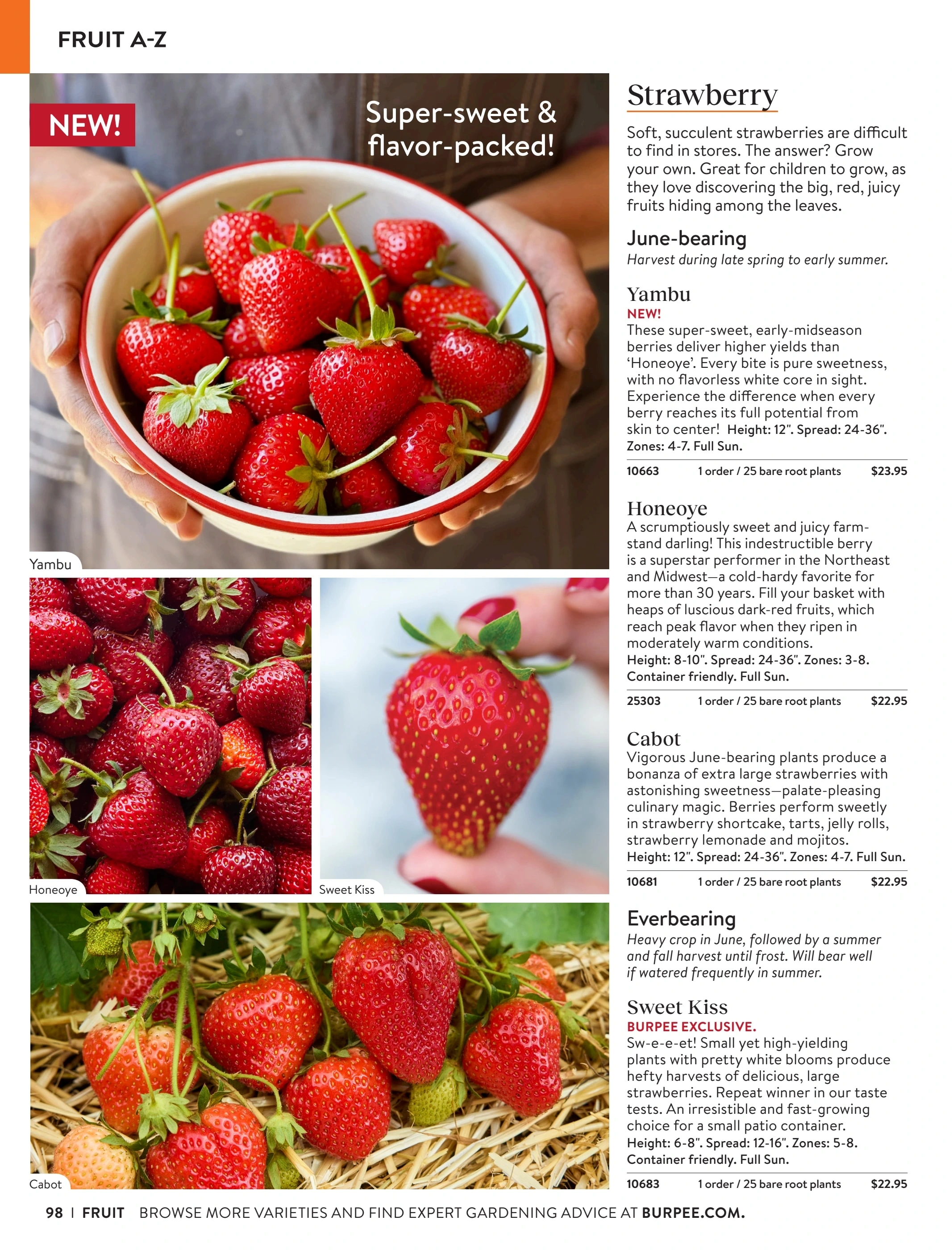 Burpee flyer page 98