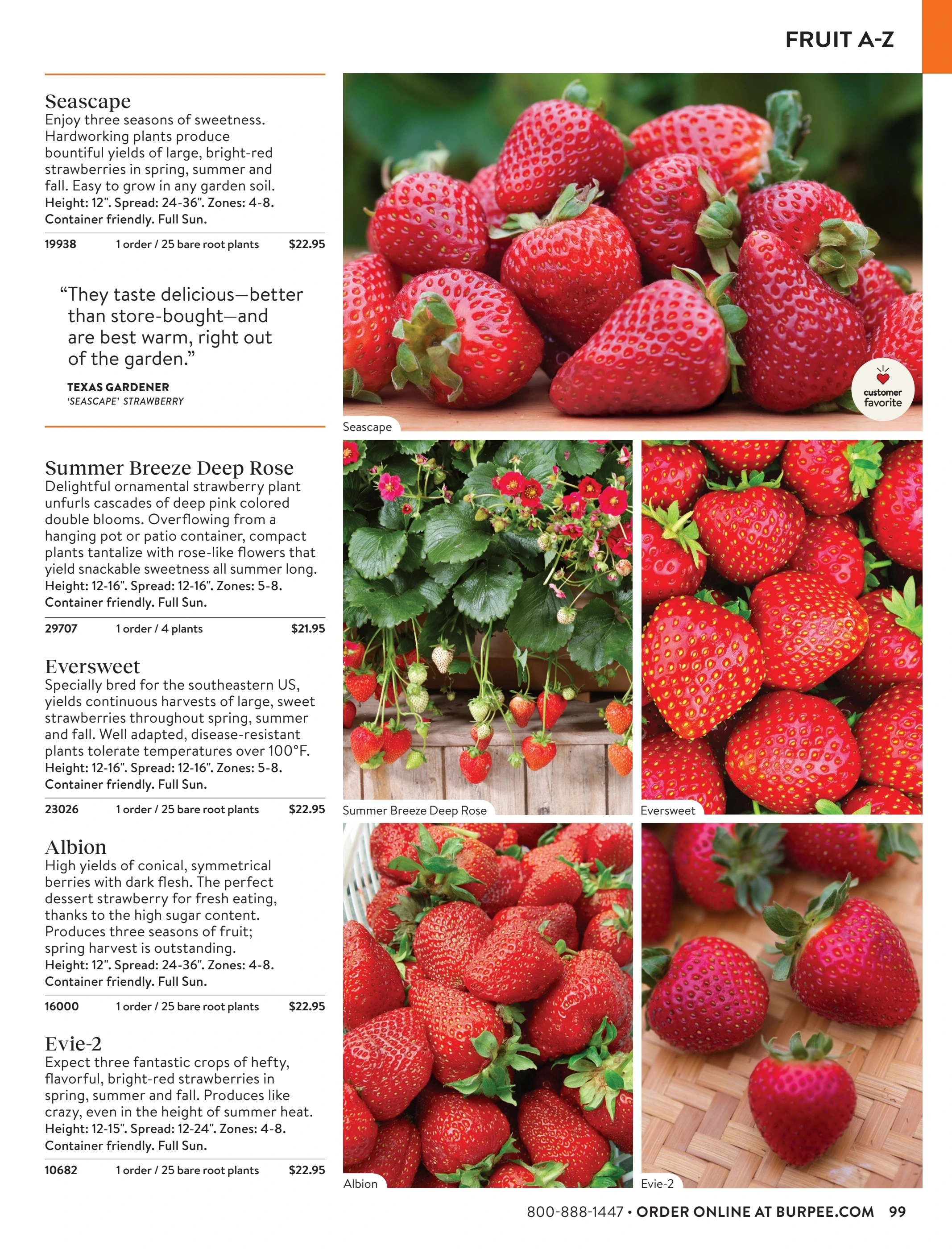 Burpee flyer page 99