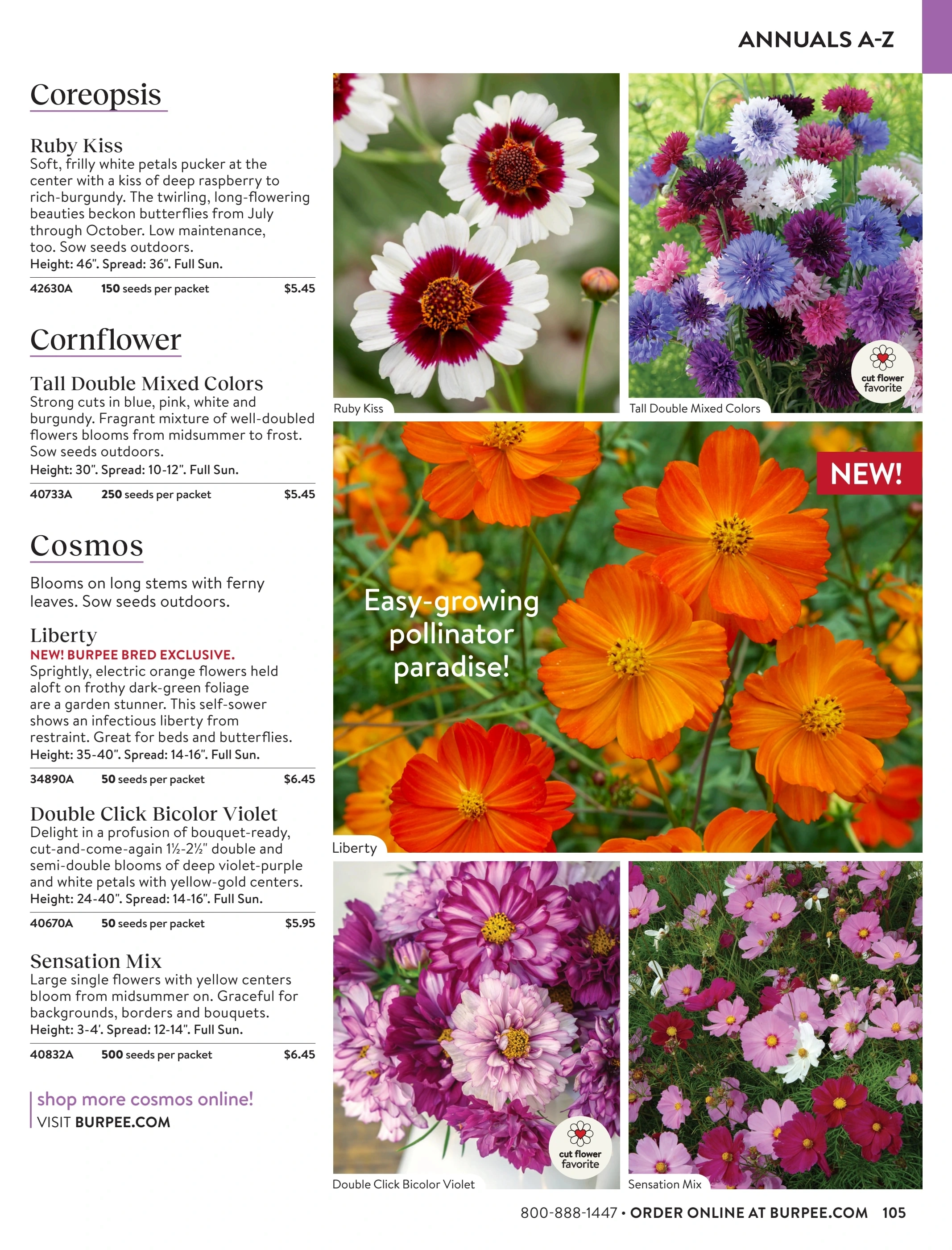 Burpee flyer page 105