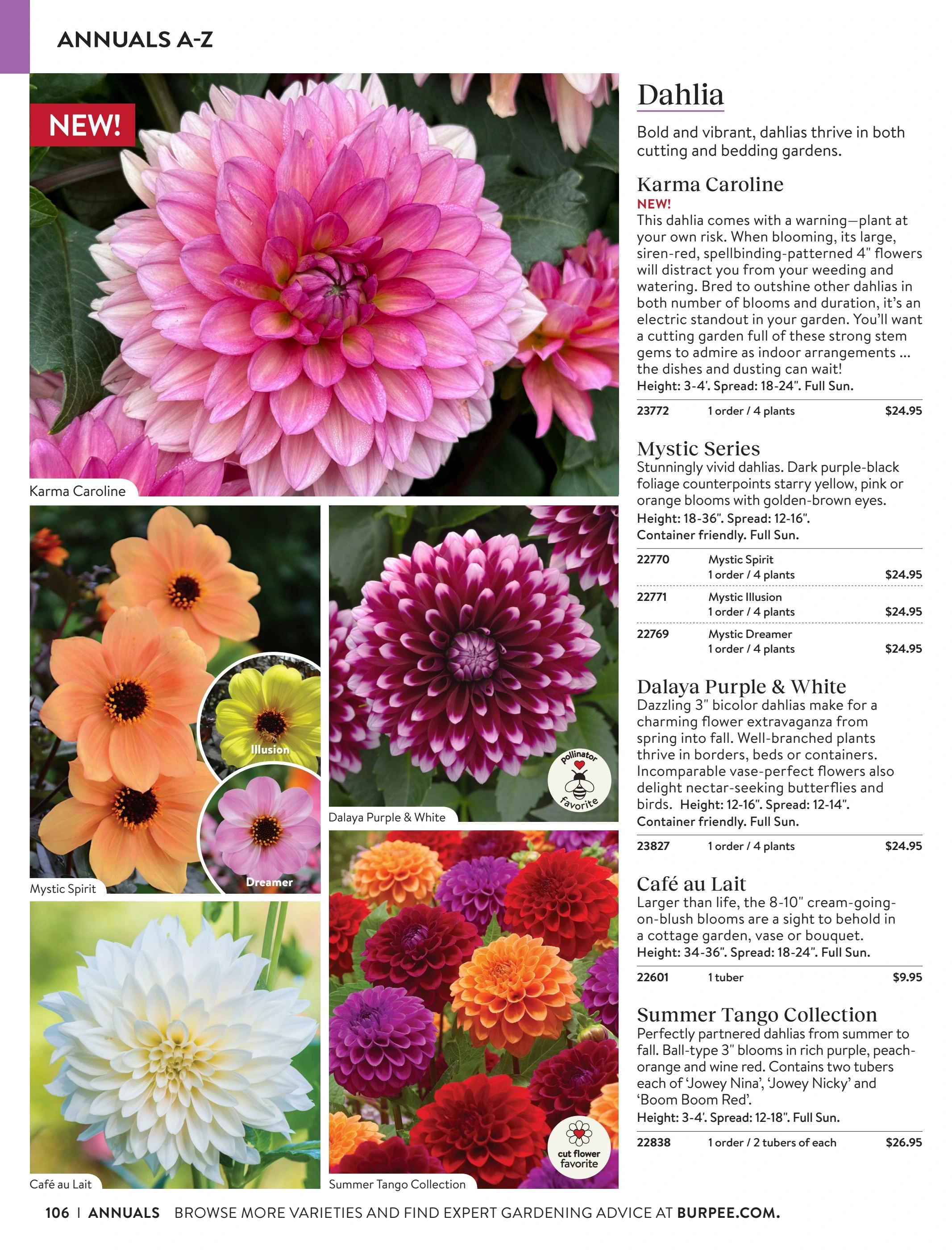 Burpee flyer page 106