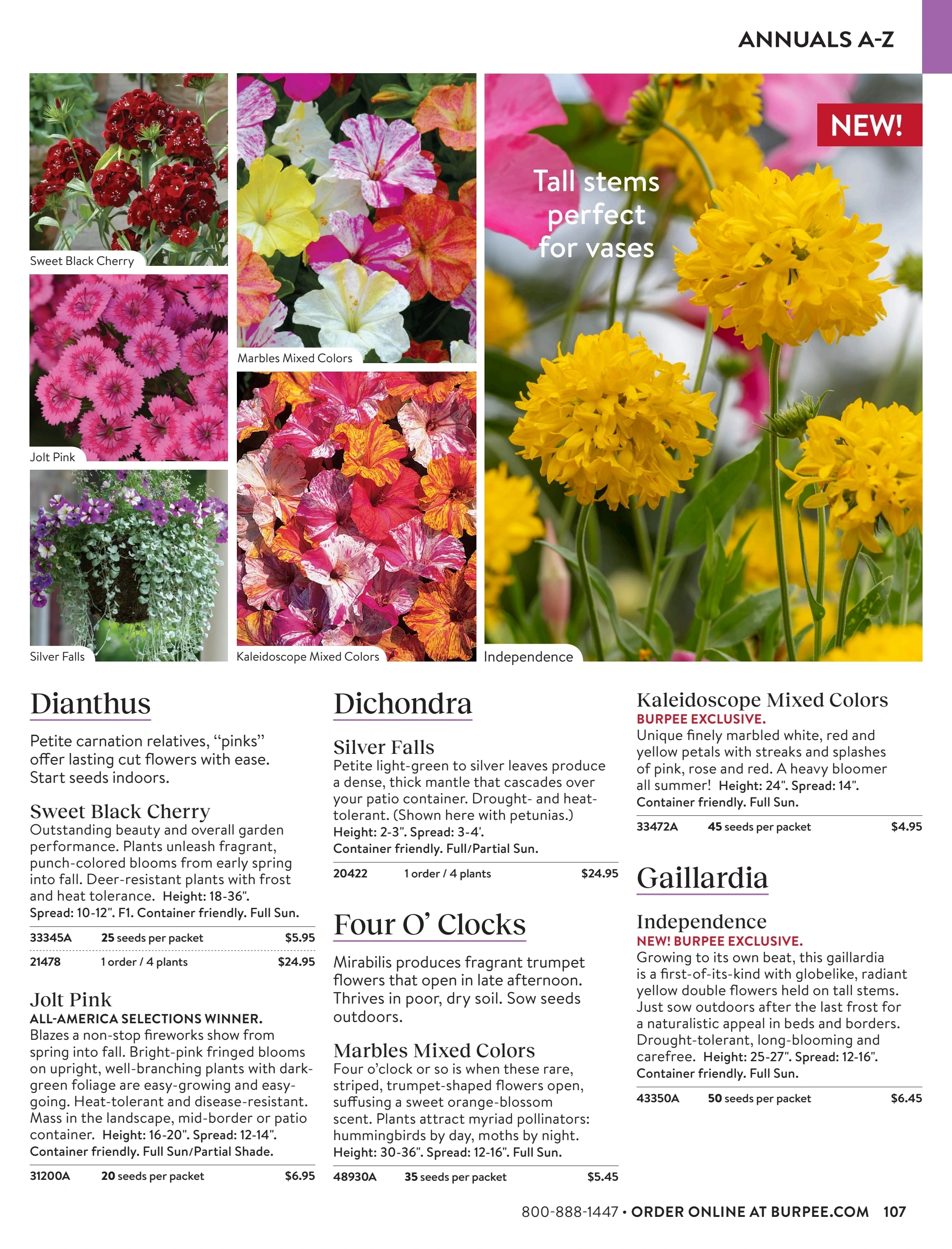 Burpee flyer page 107