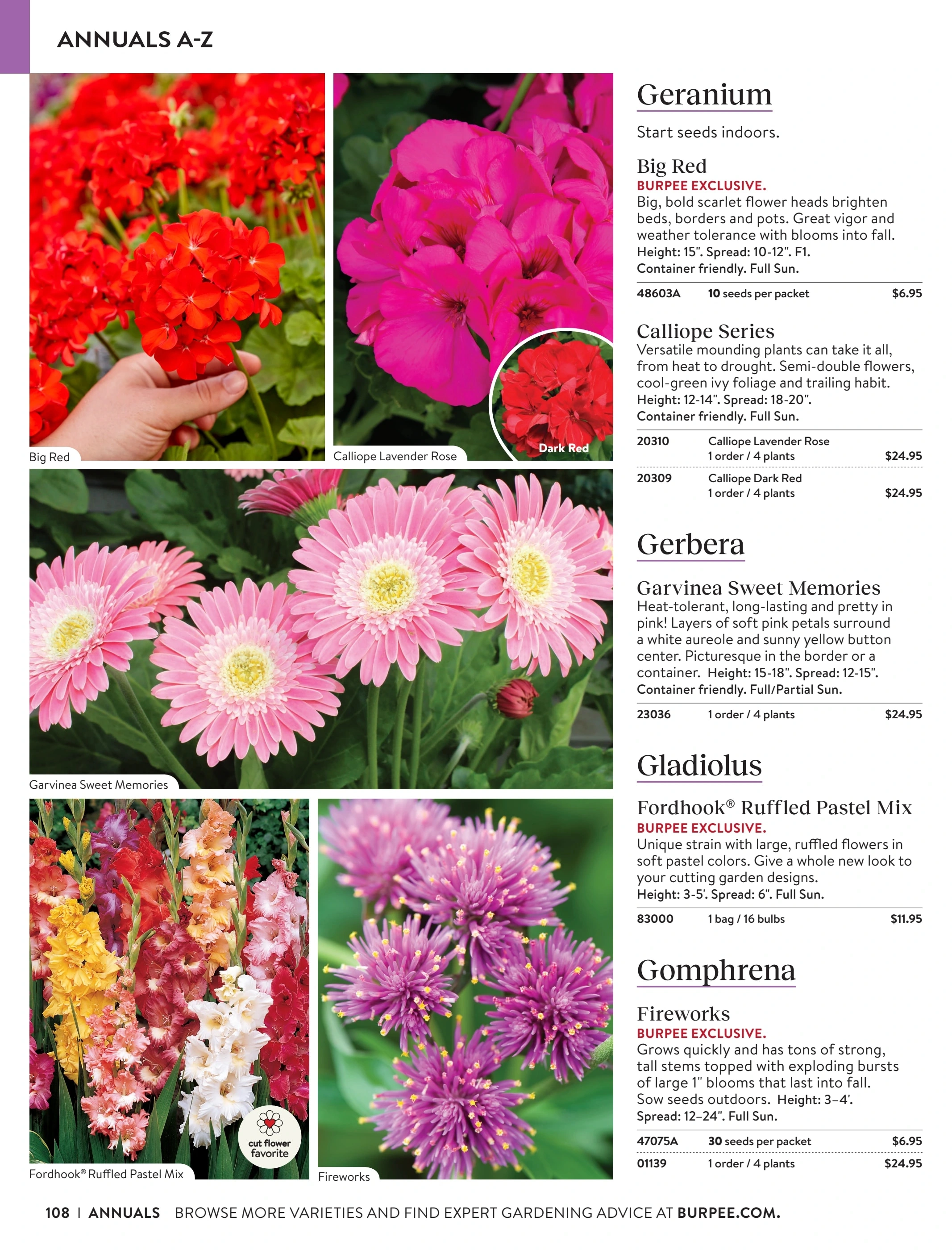 Burpee flyer page 108