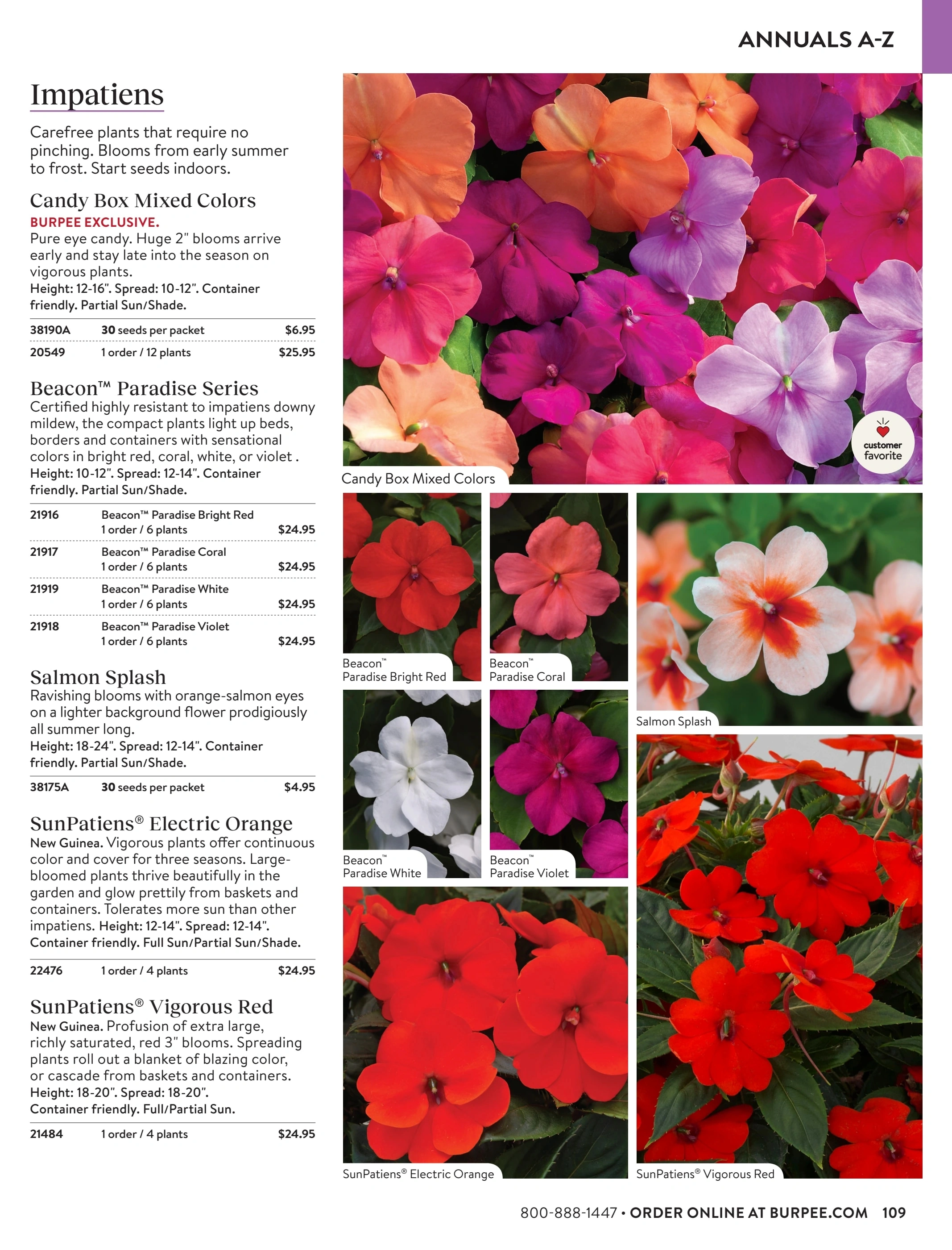 Burpee flyer page 109