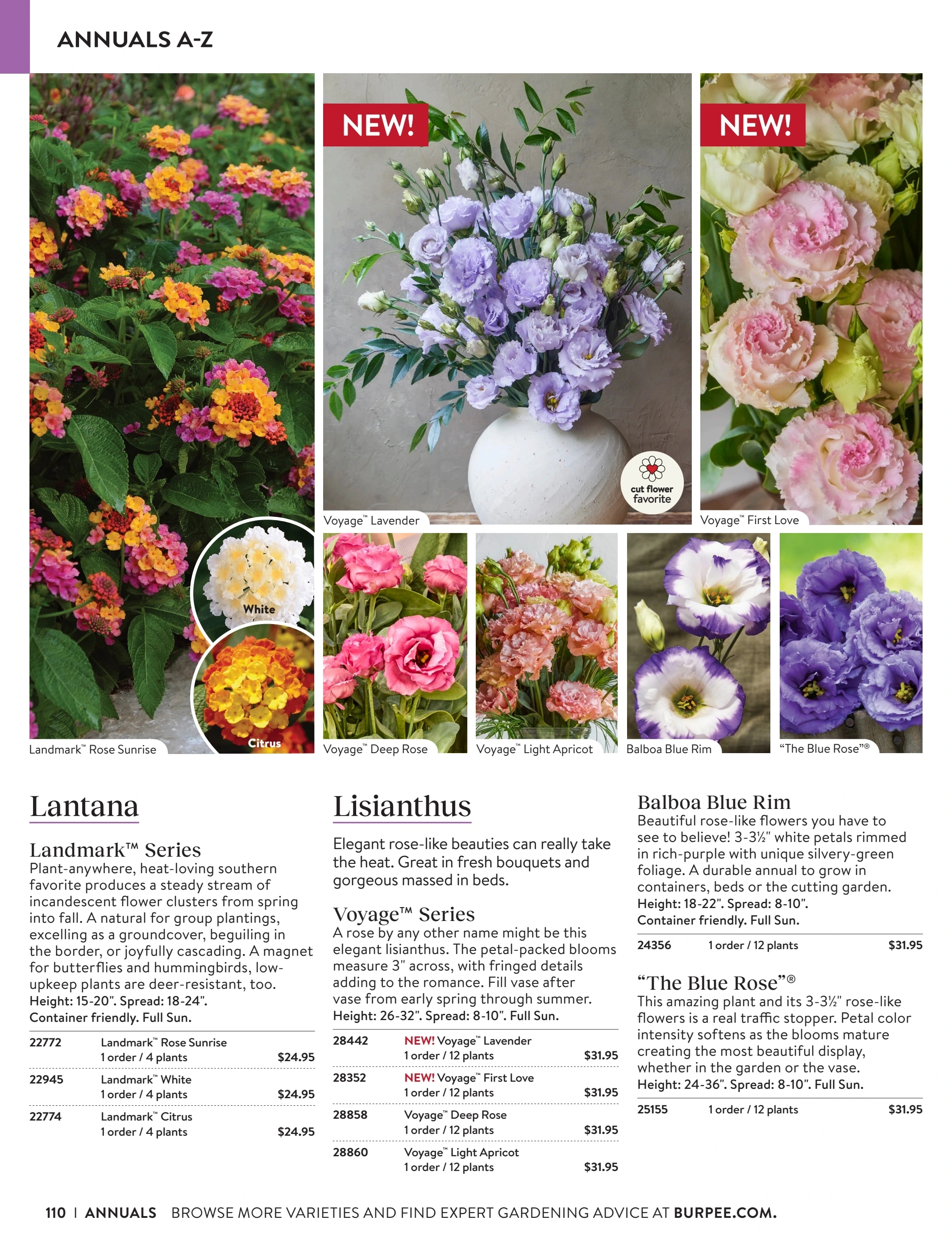 Burpee flyer page 110