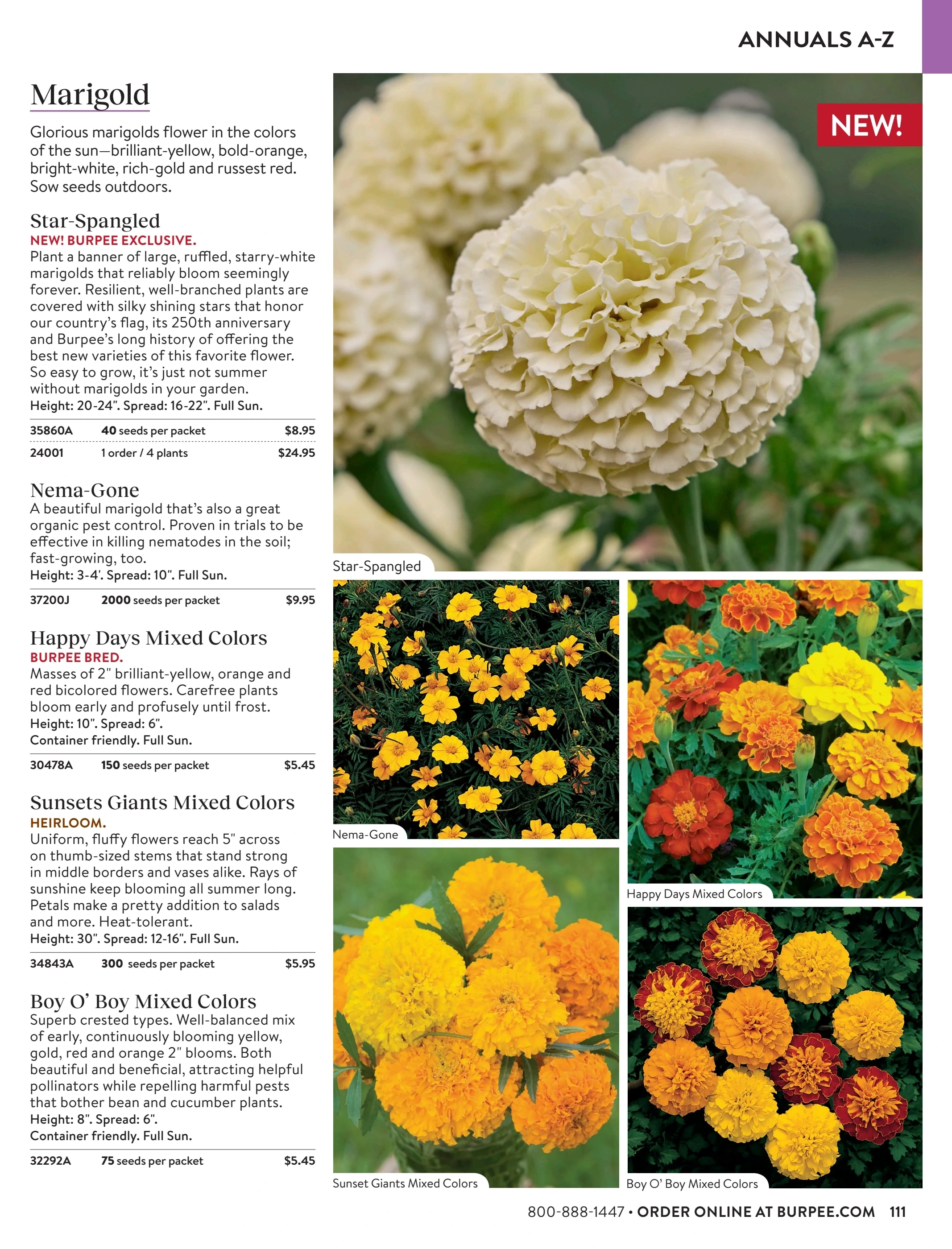 Burpee flyer page 111