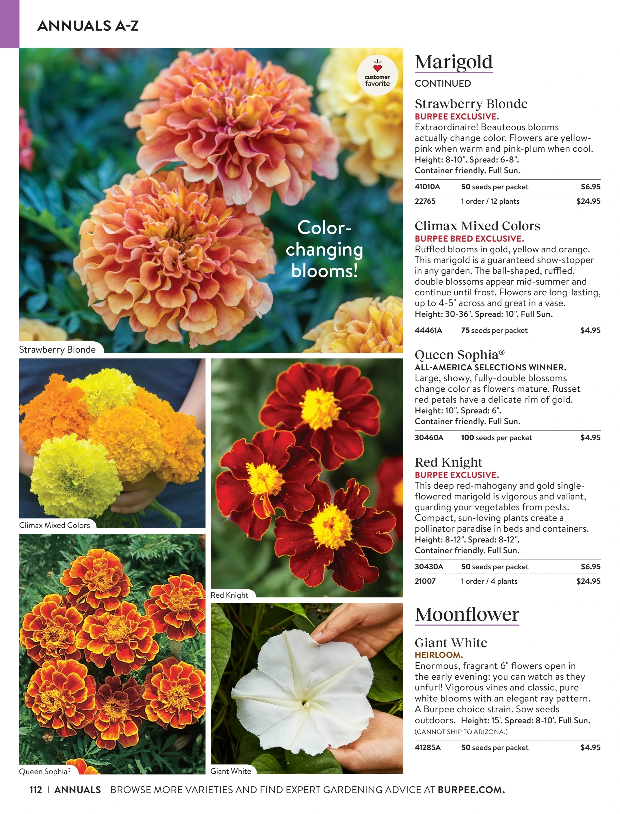 Burpee flyer page 112