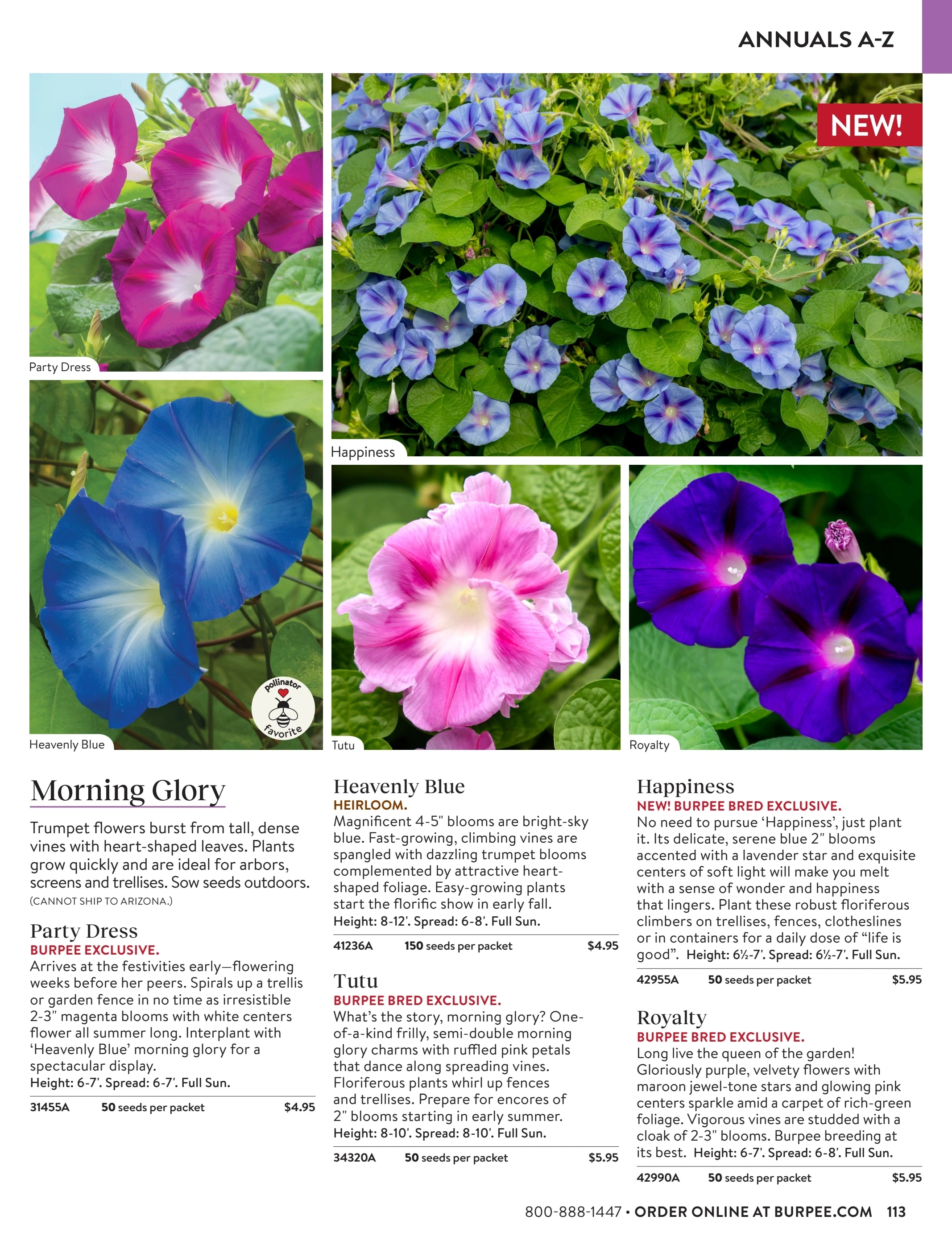 Burpee flyer page 113