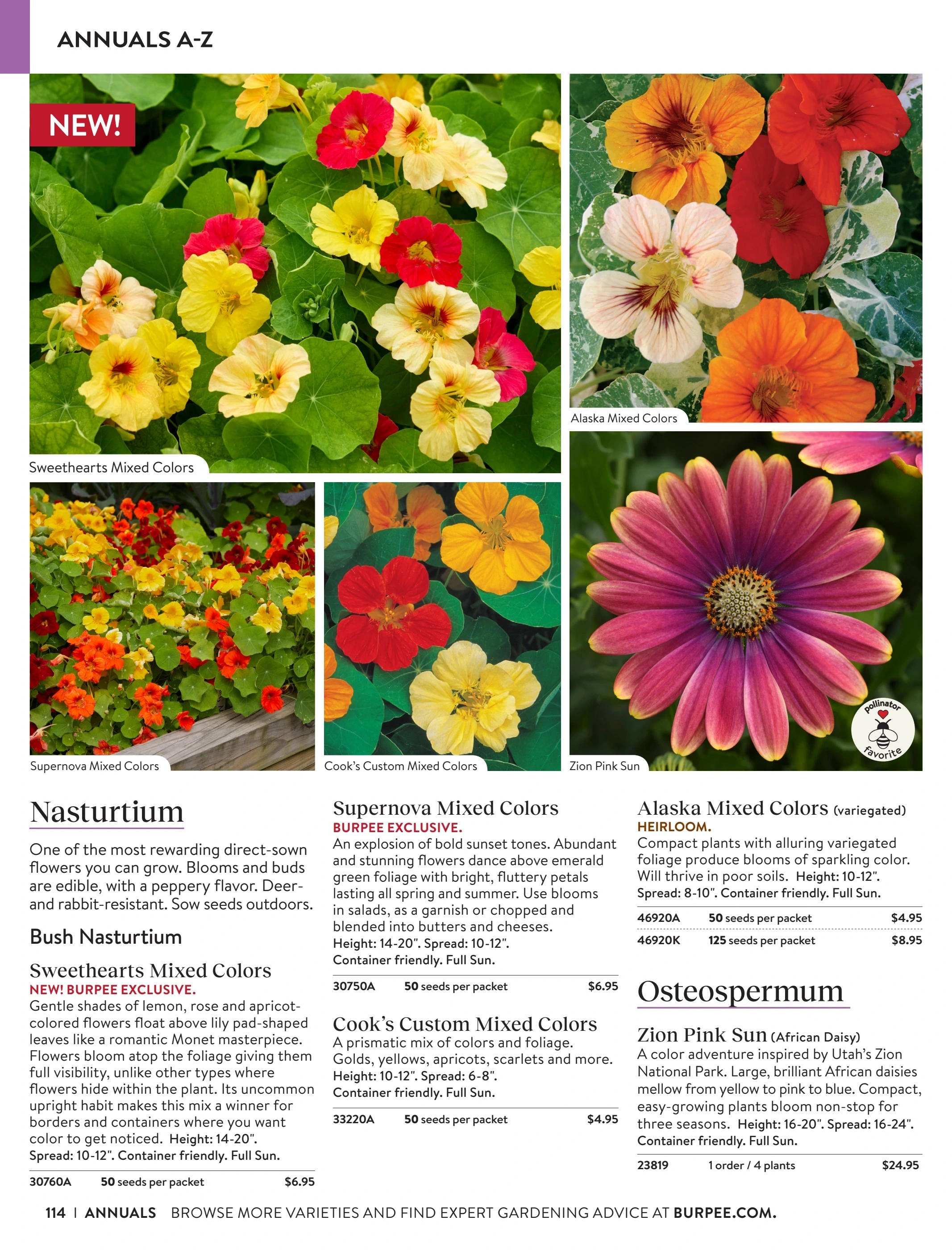 Burpee flyer page 114
