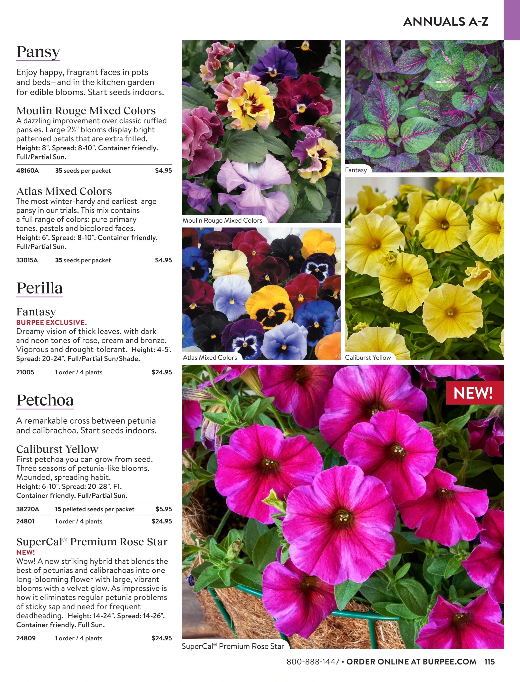 Burpee flyer page 115