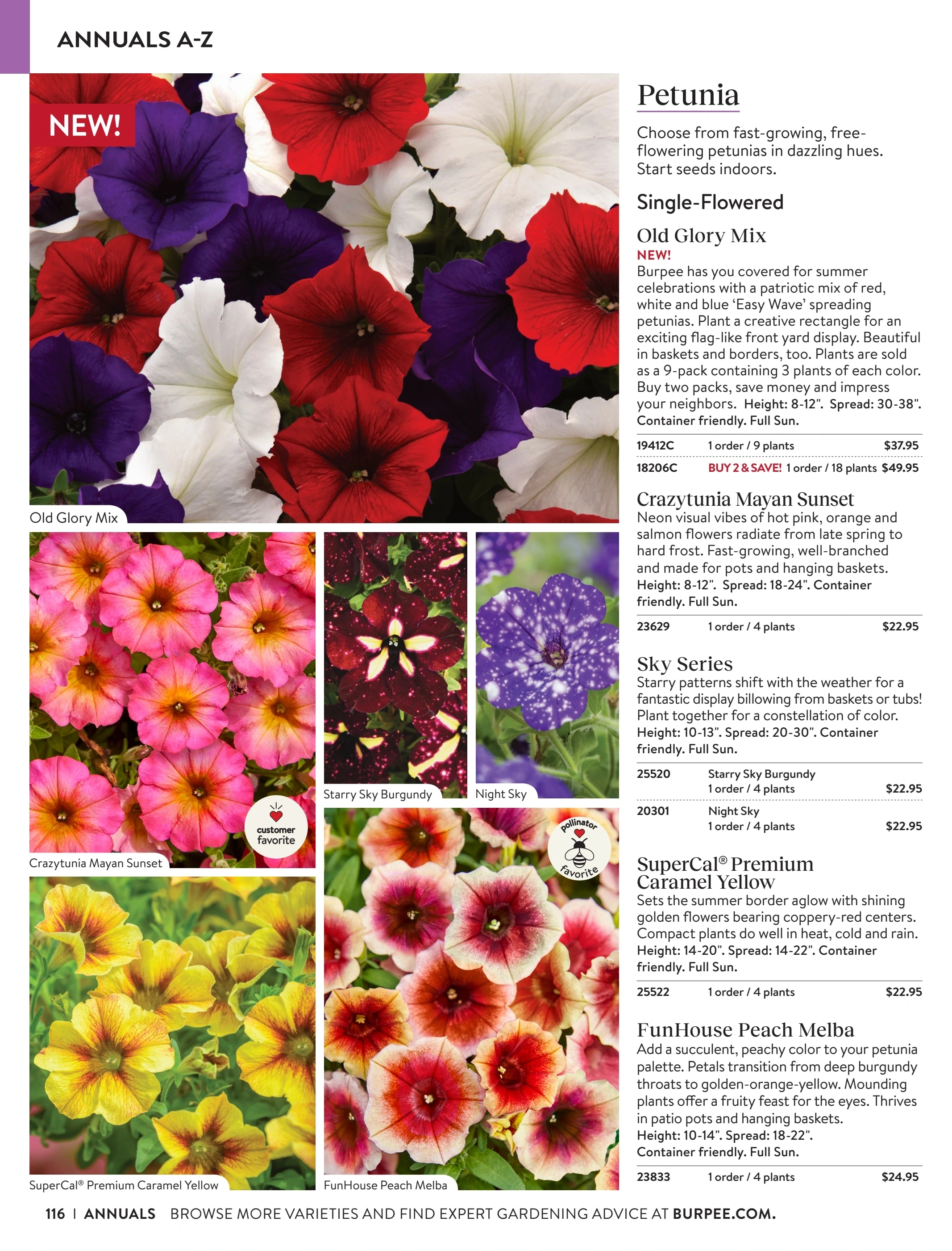 Burpee flyer page 116