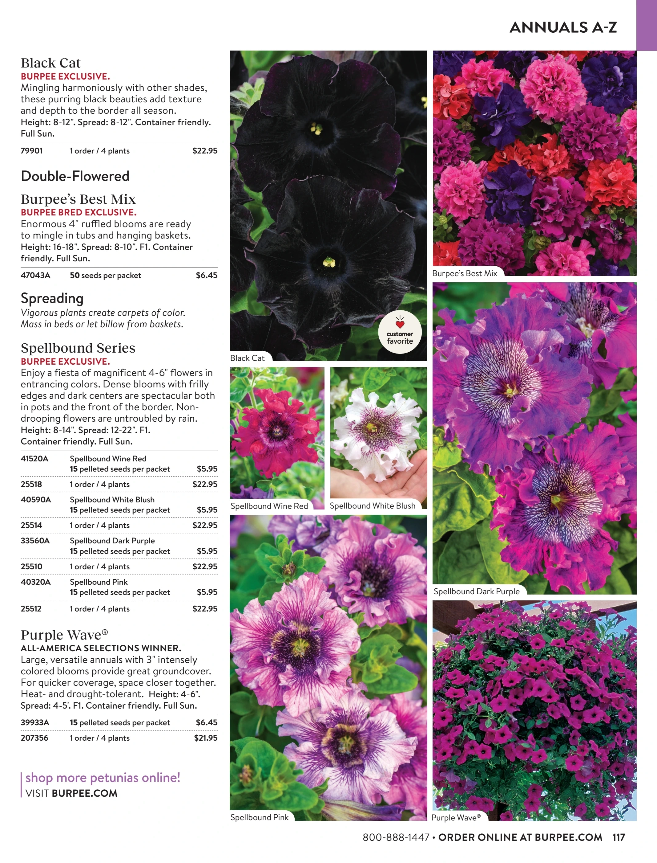 Burpee flyer page 117