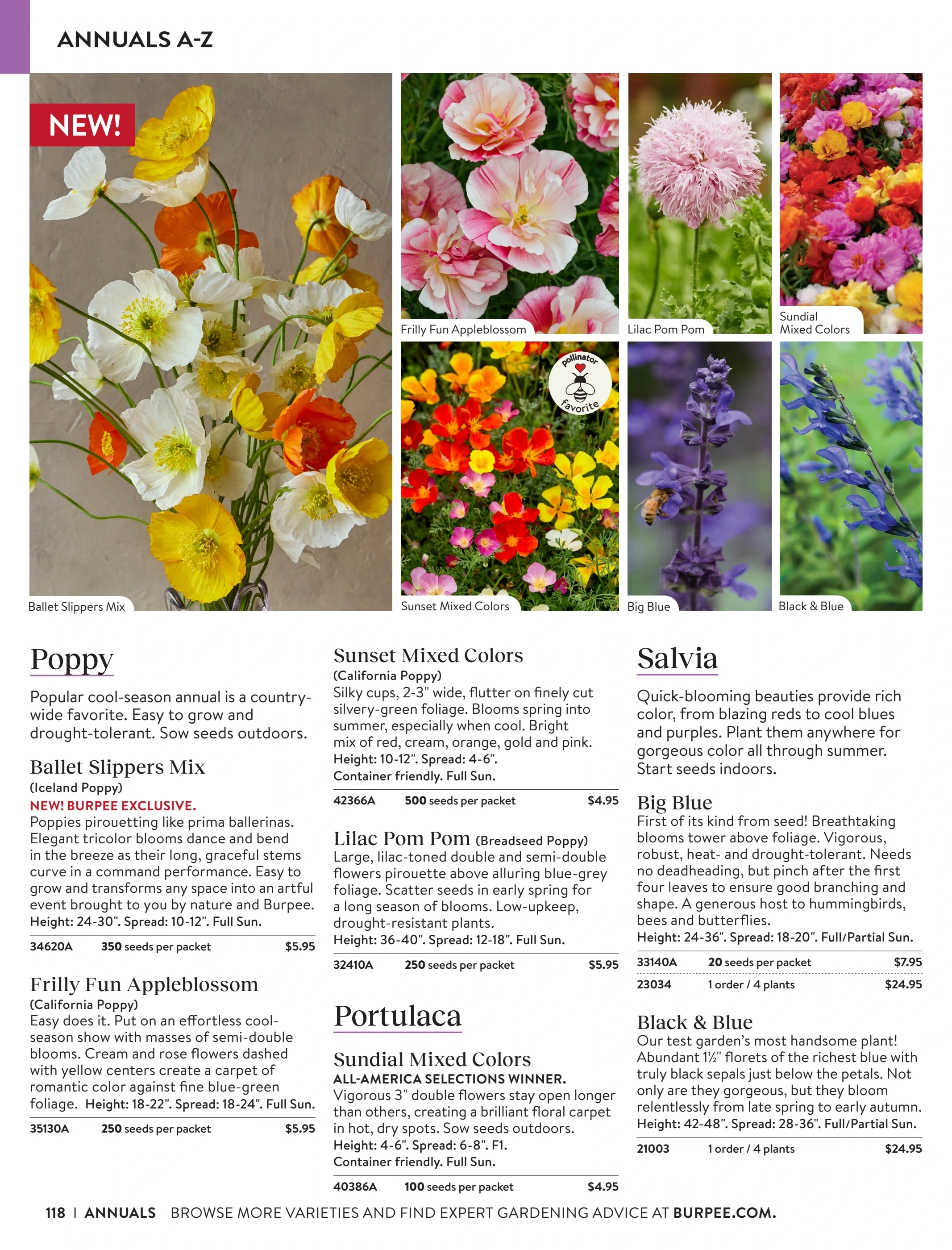 Burpee flyer page 118