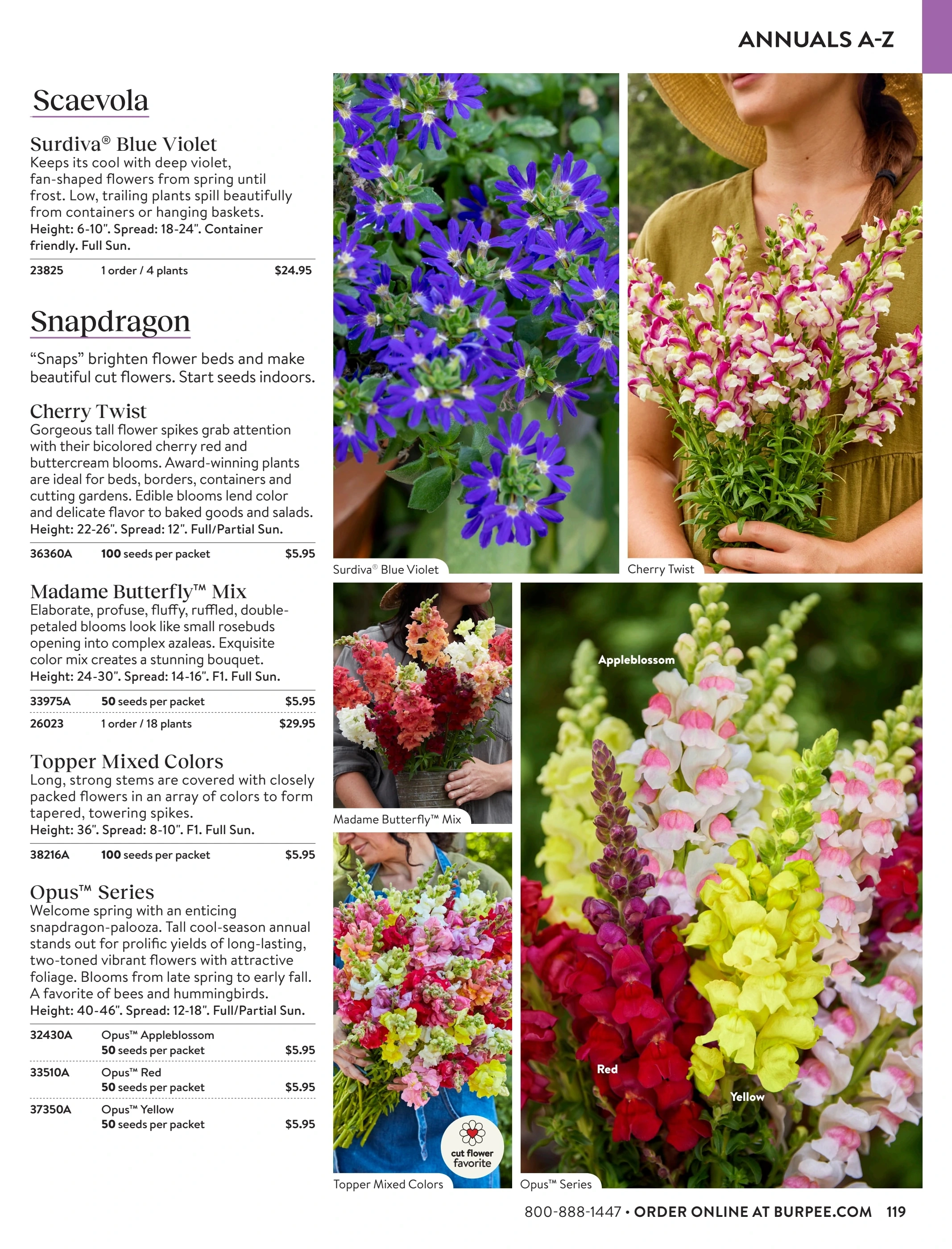 Burpee flyer page 119