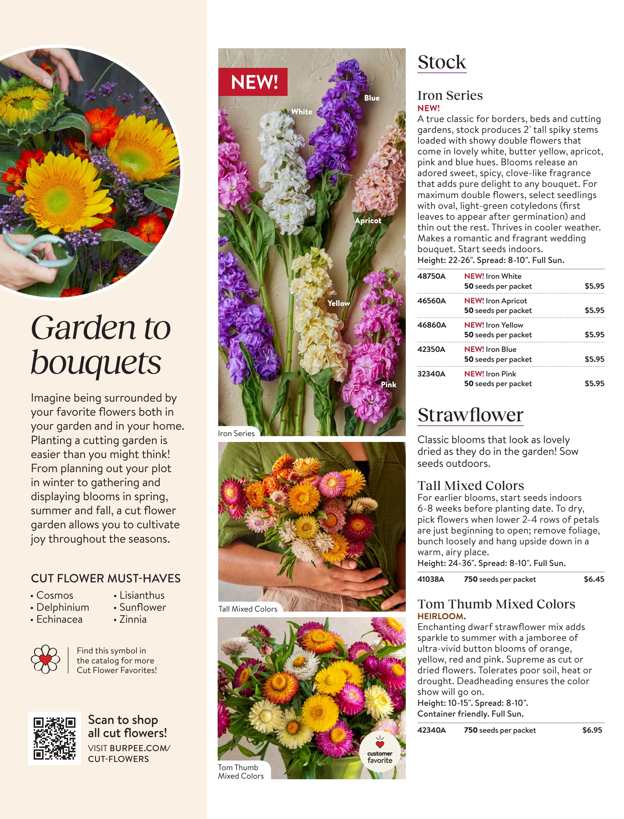 Burpee flyer page 120