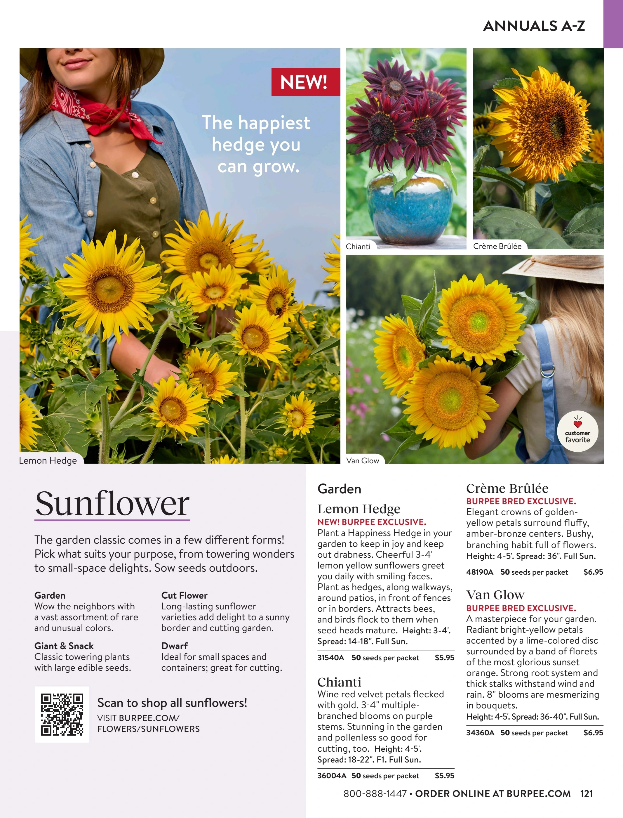 Burpee flyer page 121