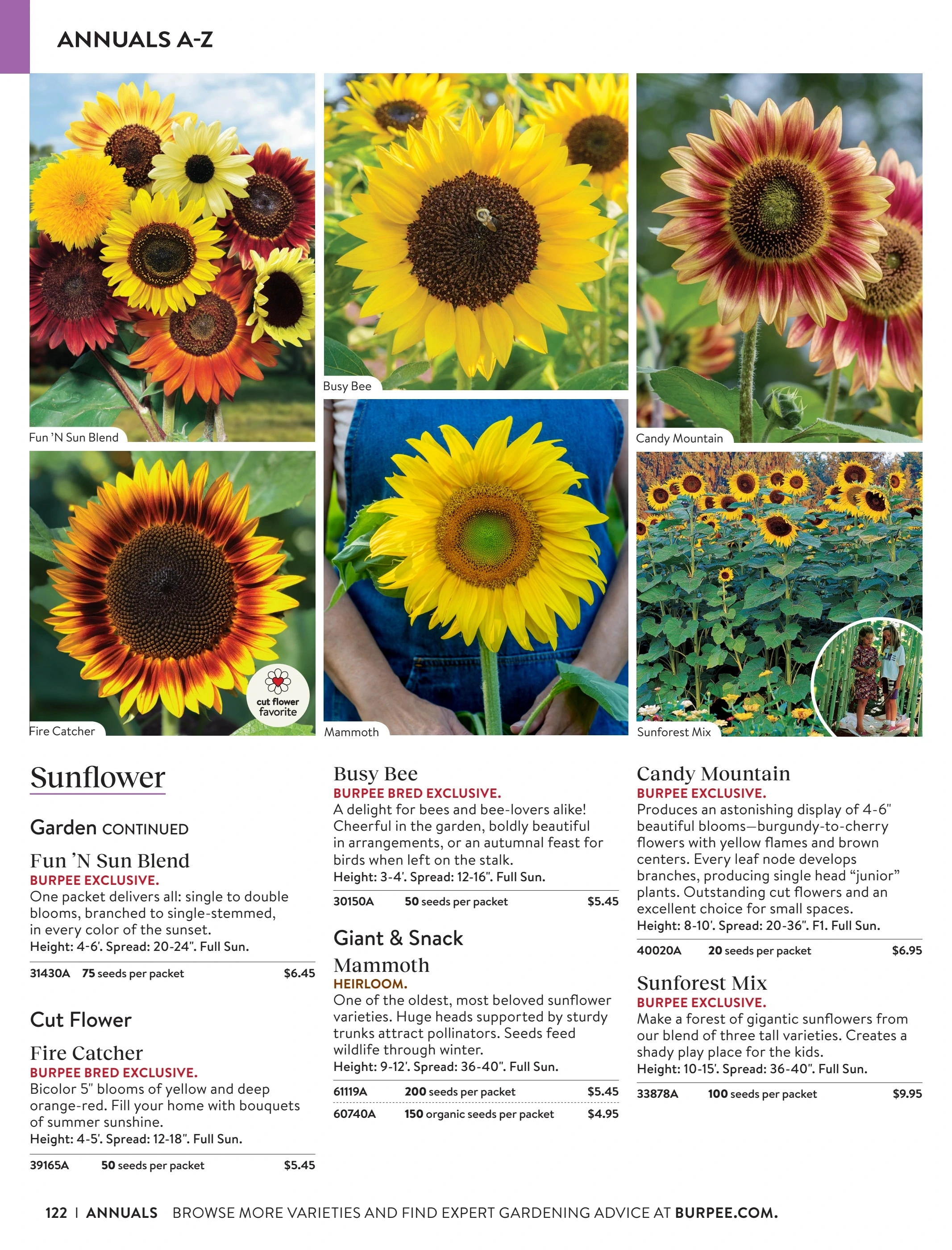 Burpee flyer page 122