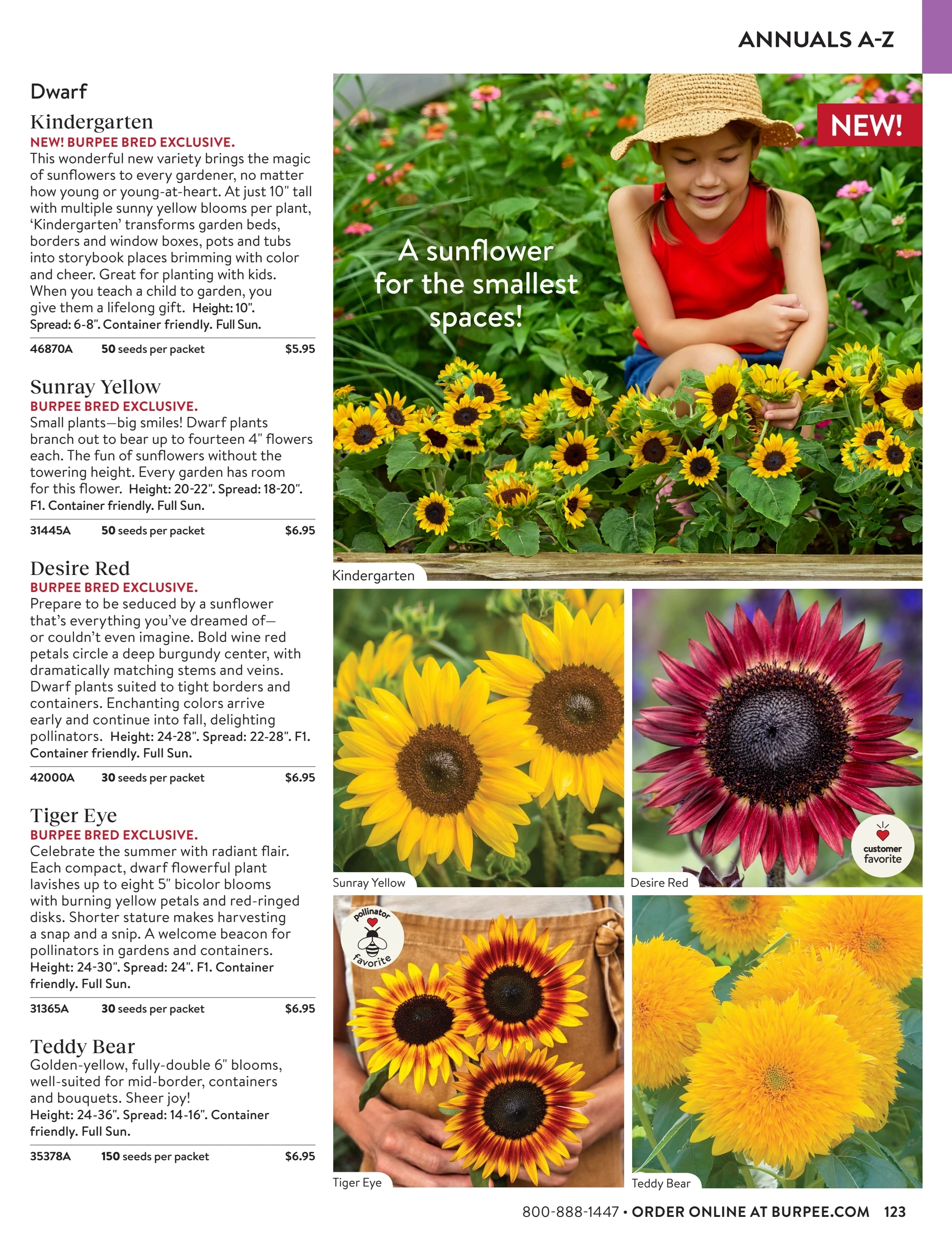 Burpee flyer page 123