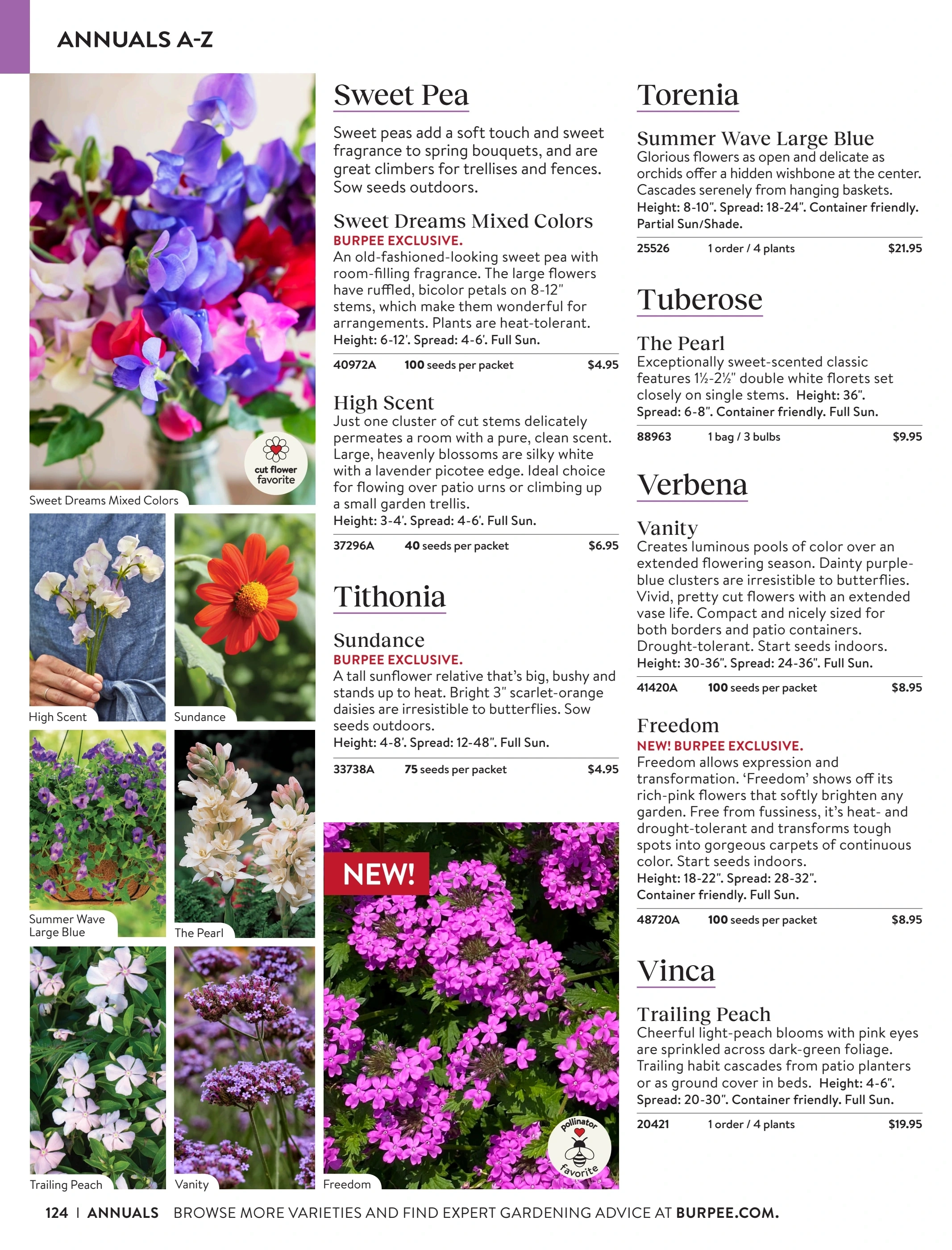 Burpee flyer page 124