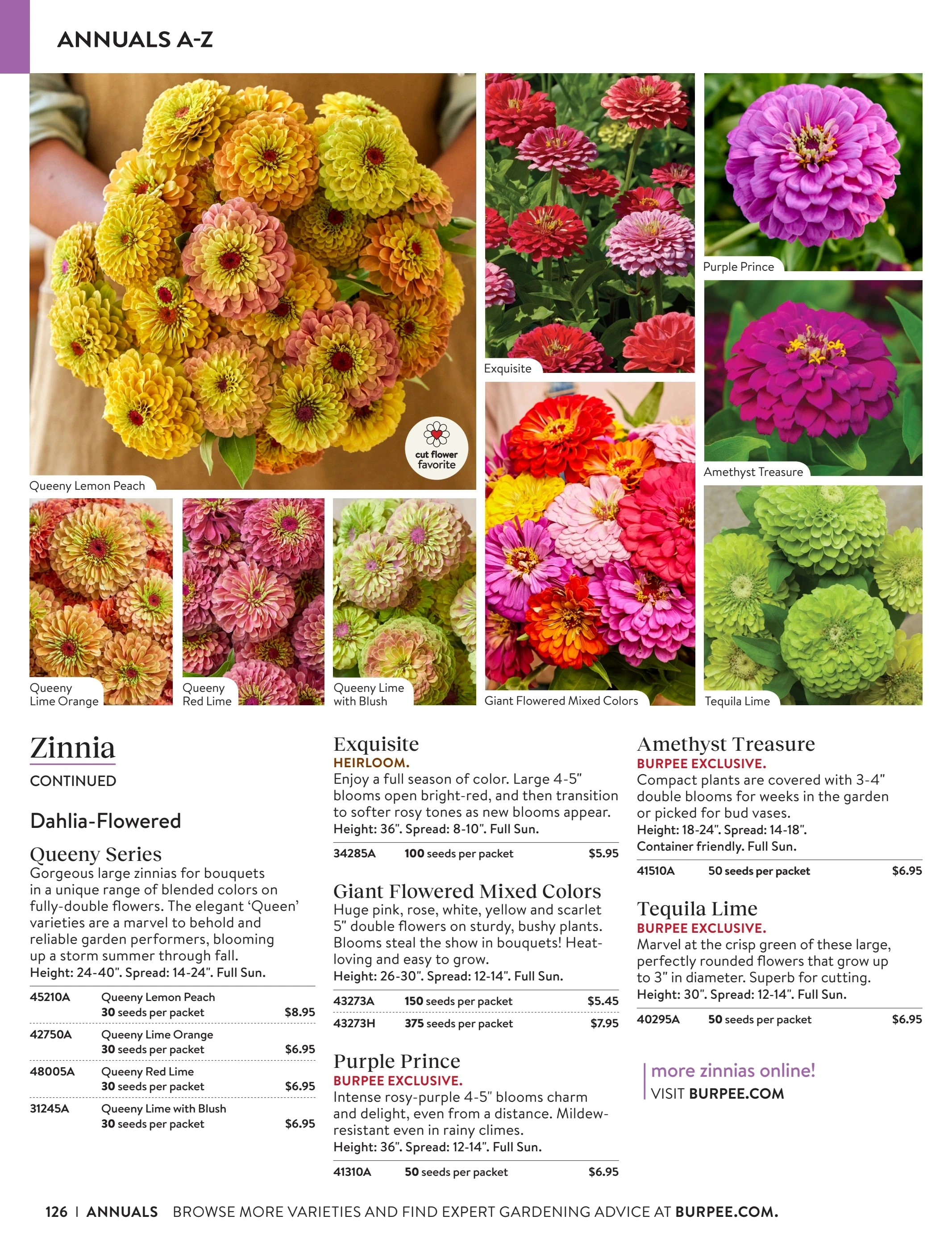 Burpee flyer page 126