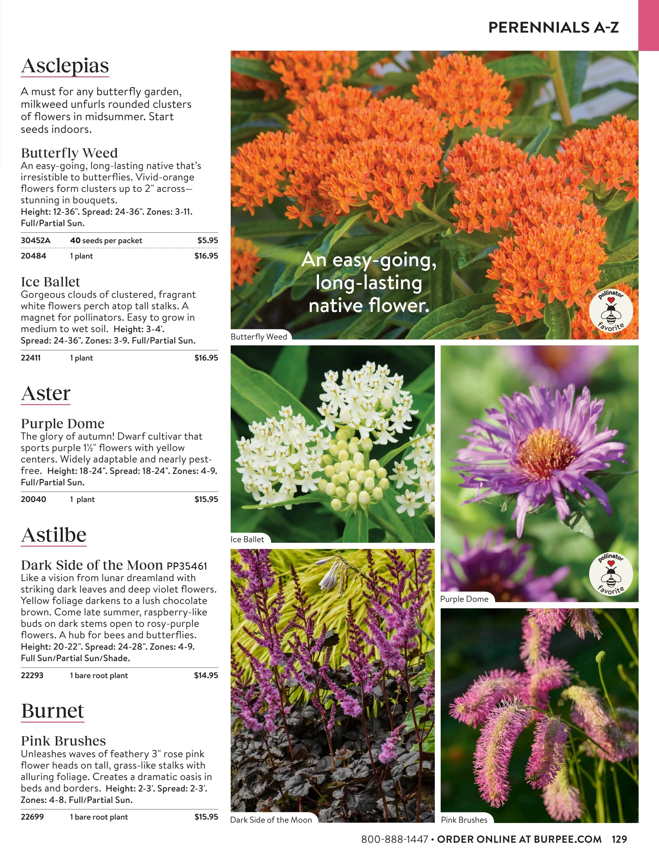 Burpee flyer page 129