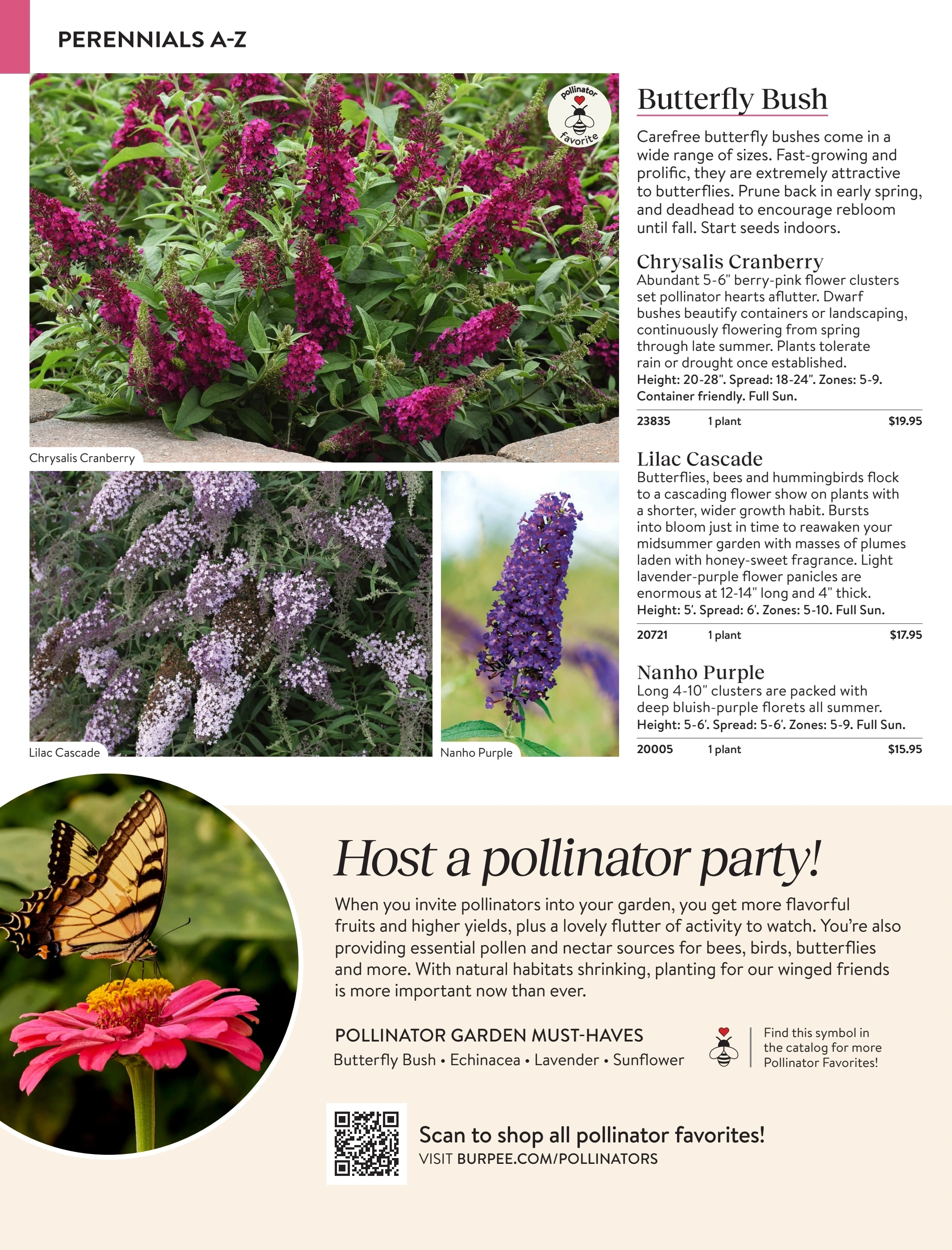 Burpee flyer page 130